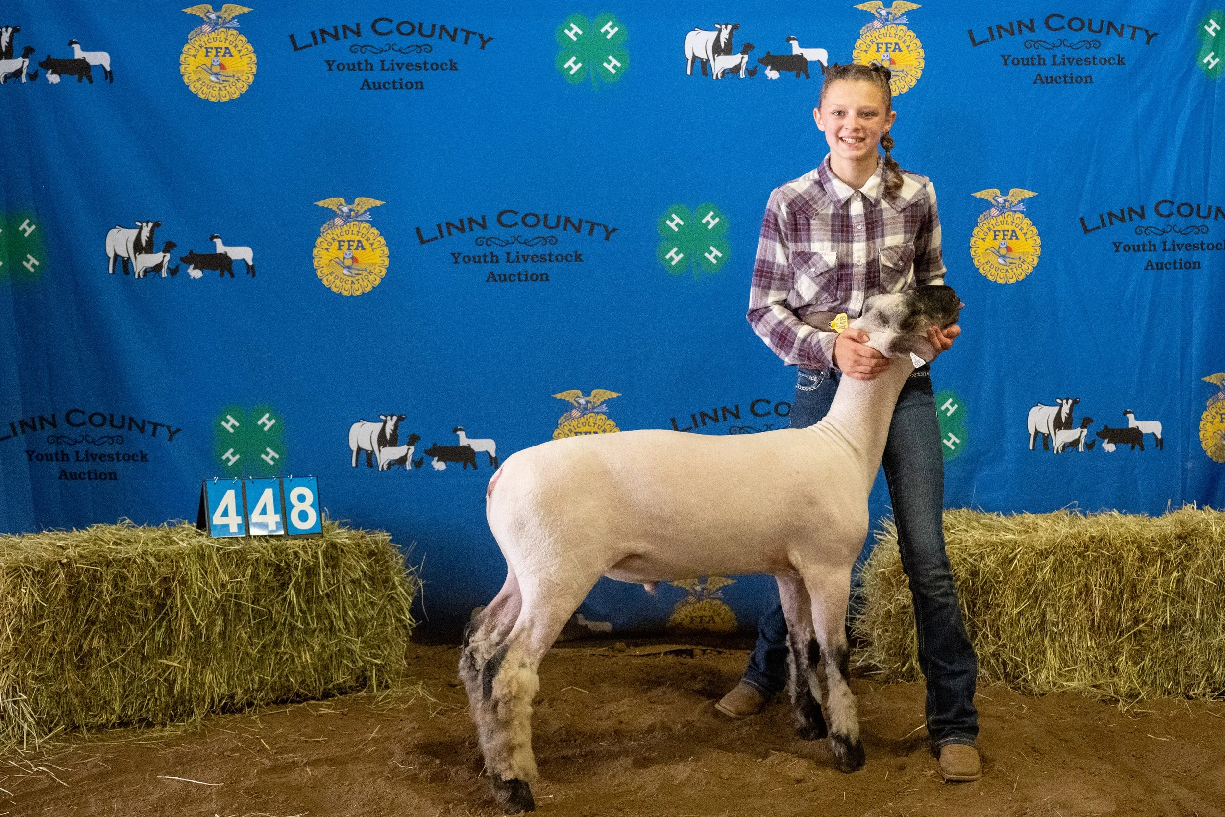 Sheep 448 (0040).jpg