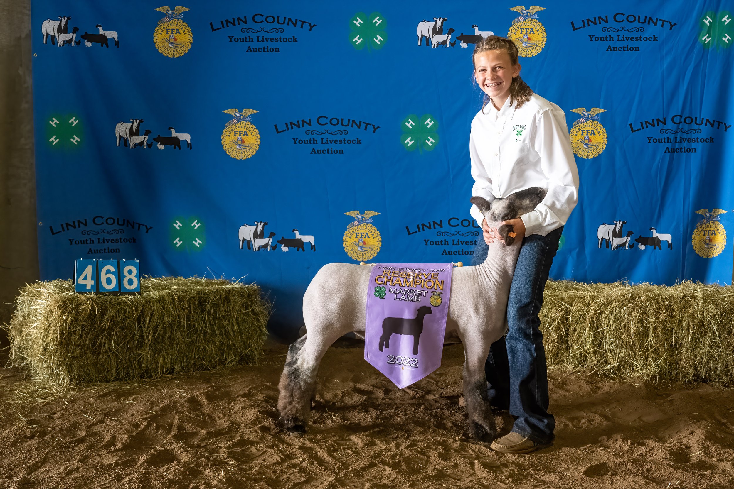 Sheep 468 (0442).jpg