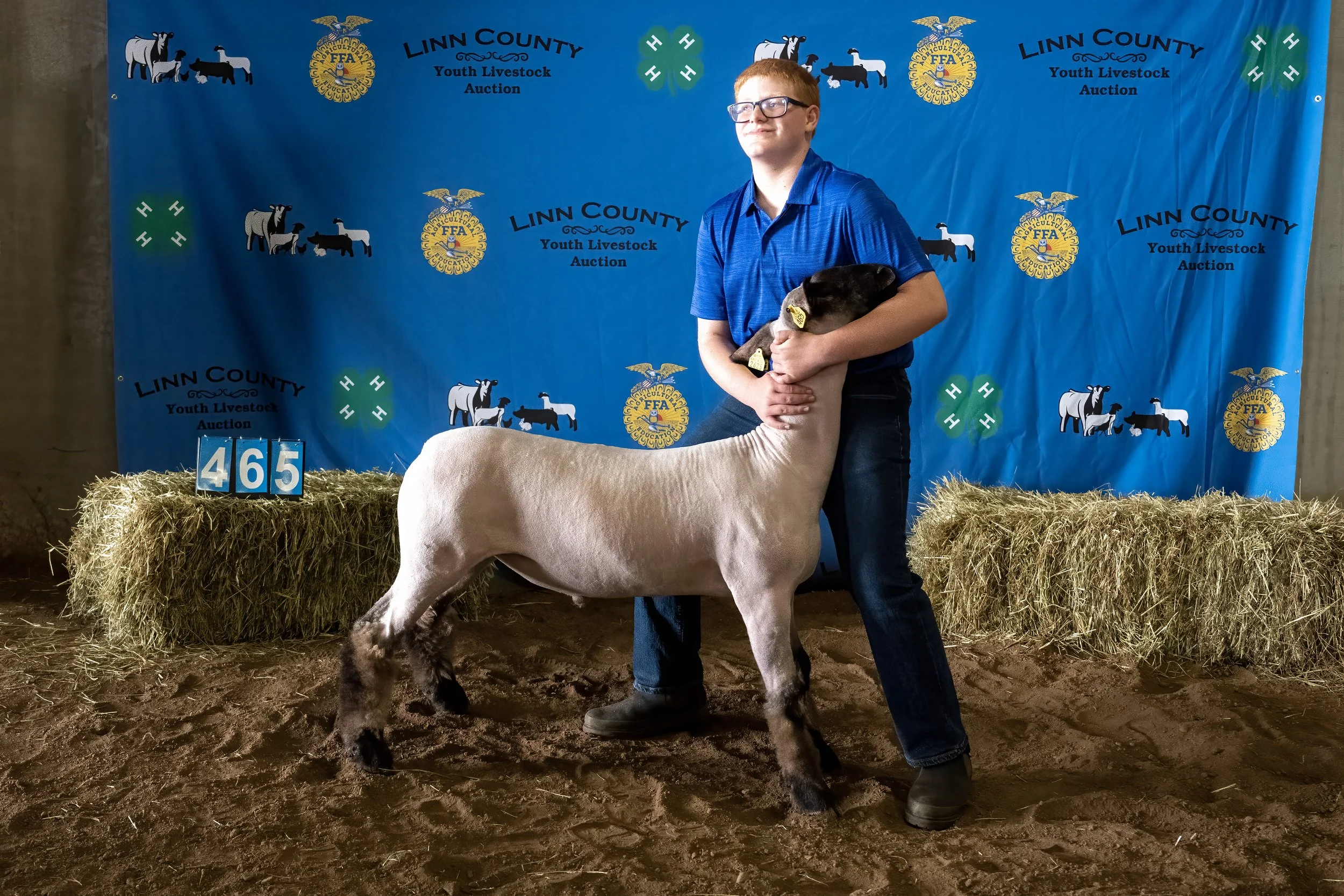 Sheep 465 (0453).jpg