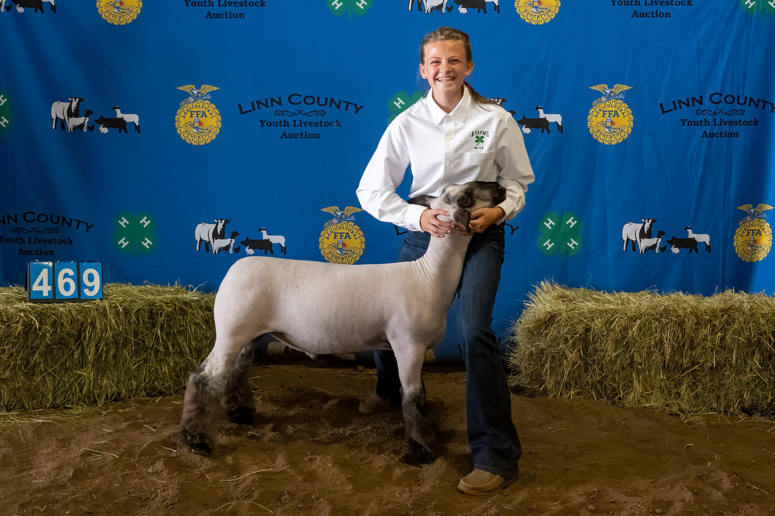 Sheep 469 (0077).jpg