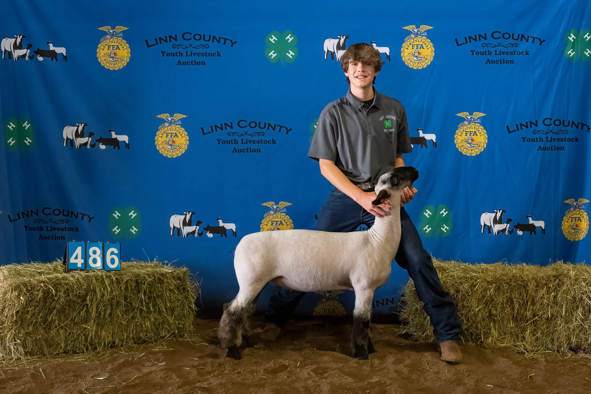 Sheep 486 (0066).jpg