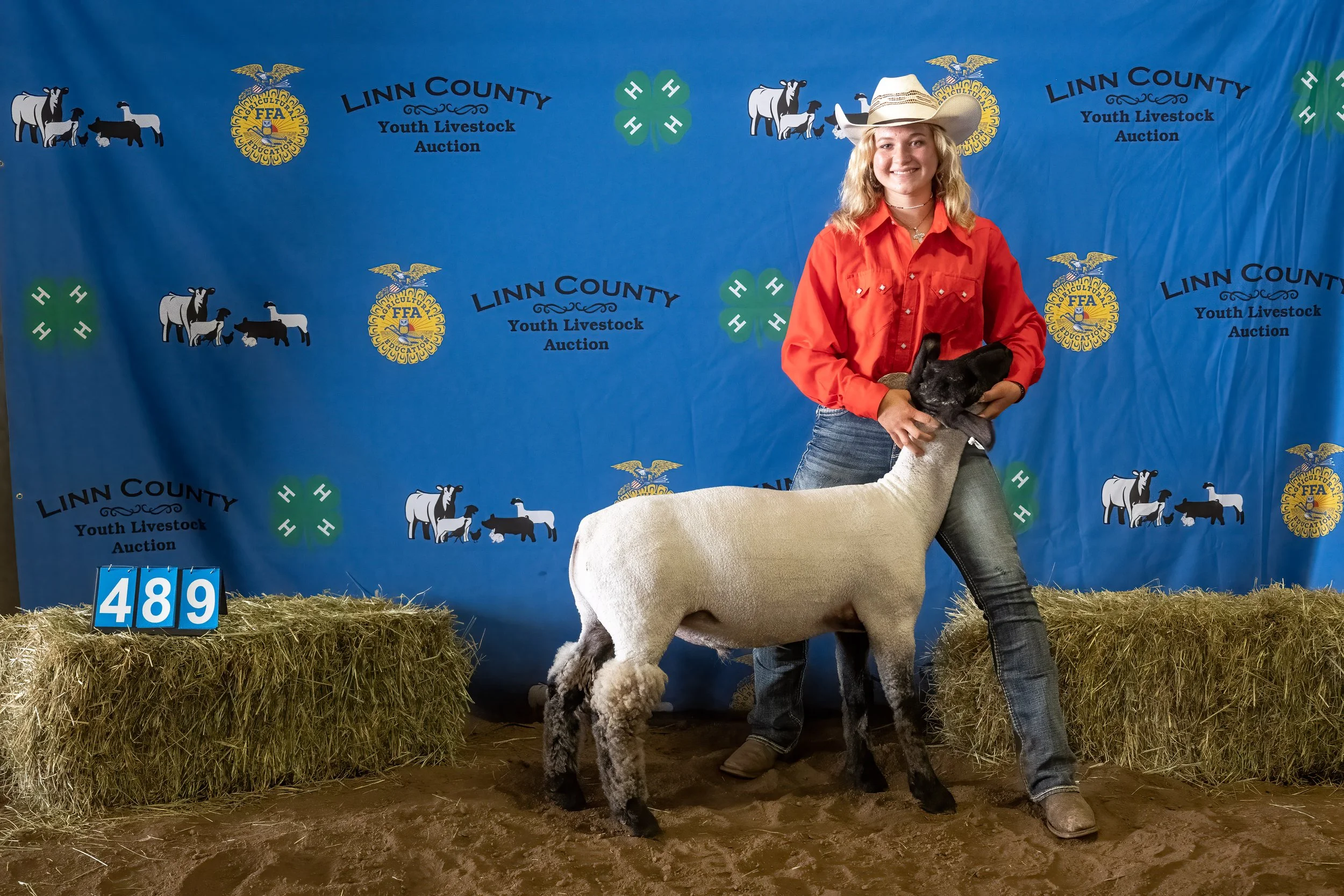 Sheep 489 (0223).jpg