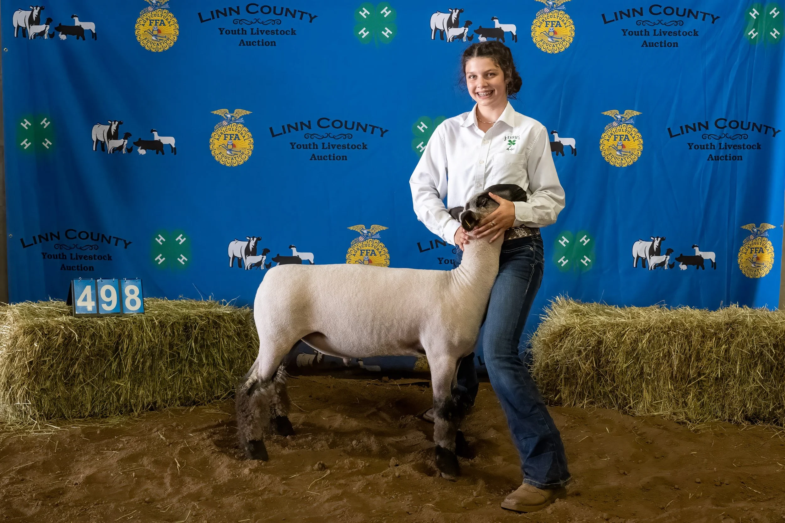 Sheep 498 (0080).jpg