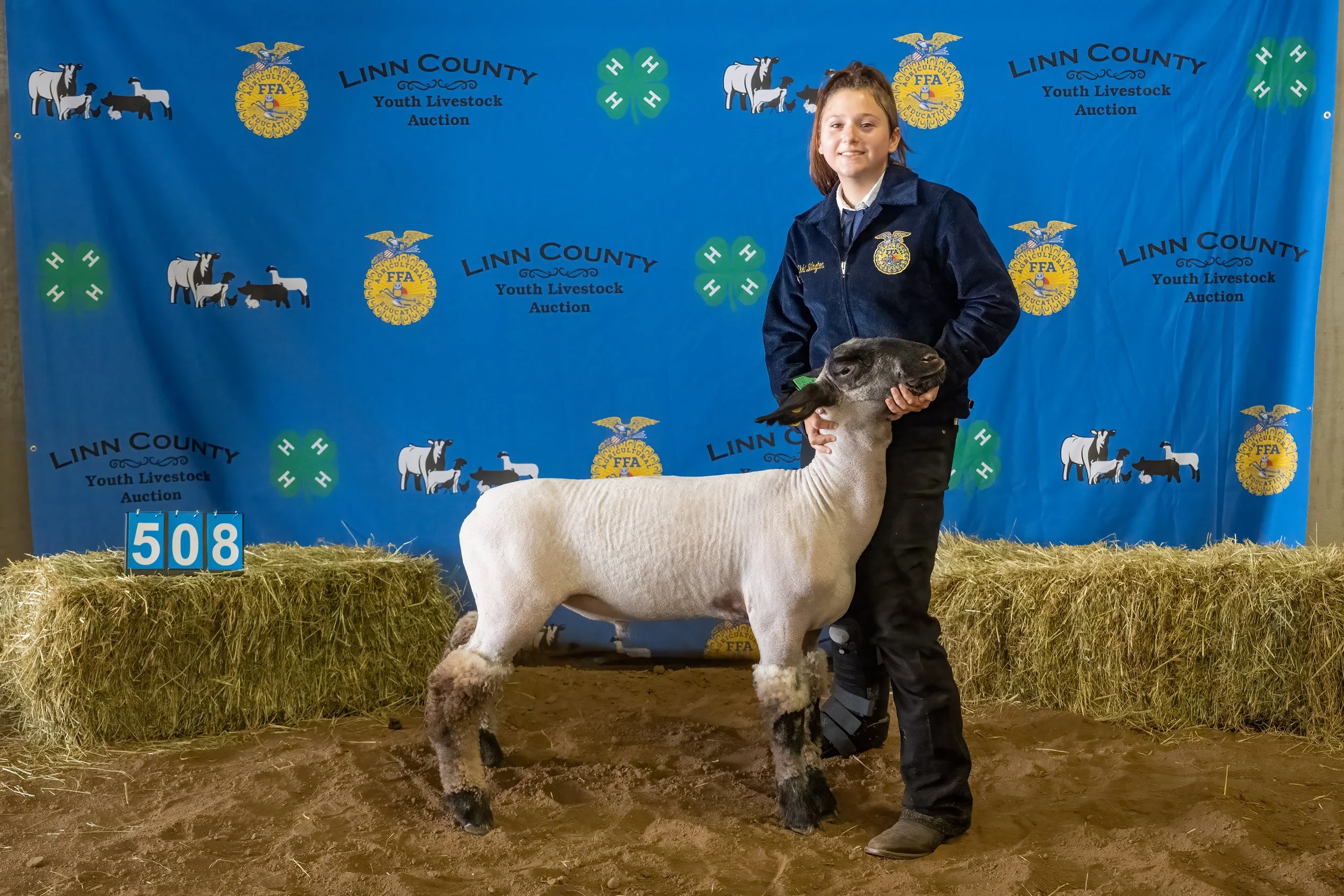 Sheep 508 (0152).jpg