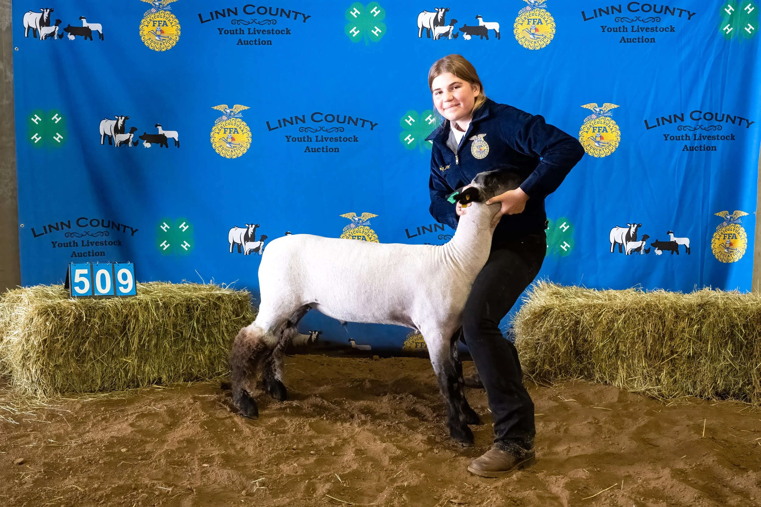 Sheep 509 (0151).jpg
