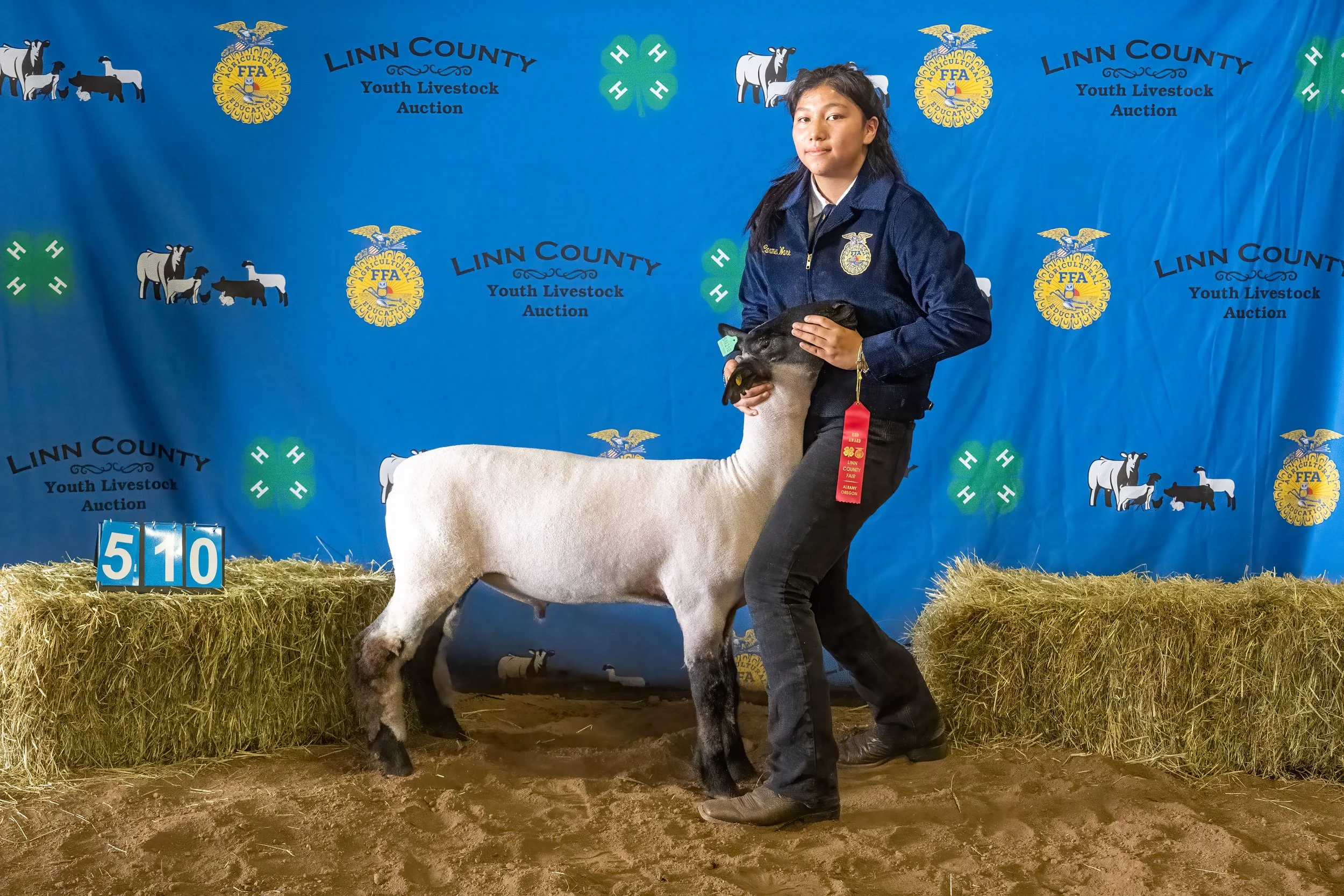 Sheep 510 (0239).jpg
