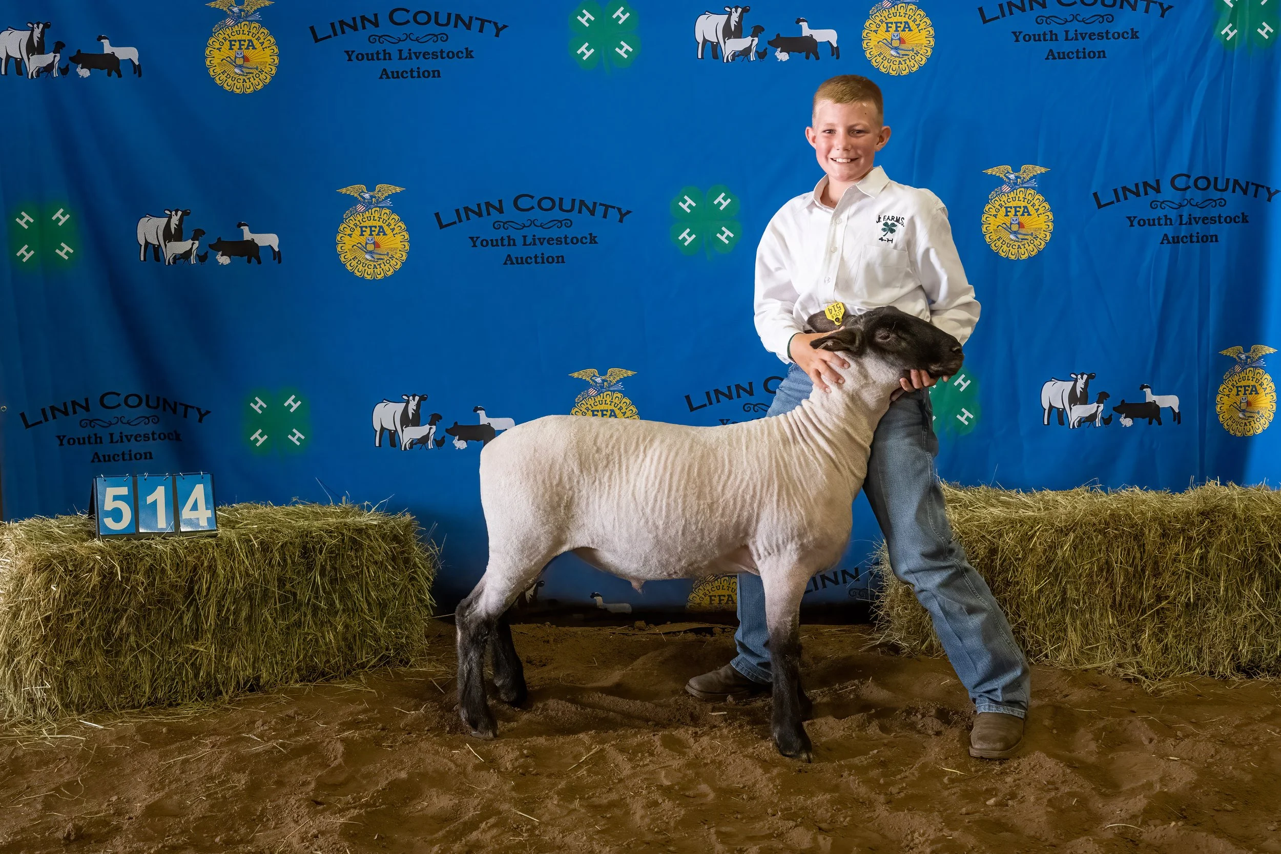 Sheep 514 (0099).jpg