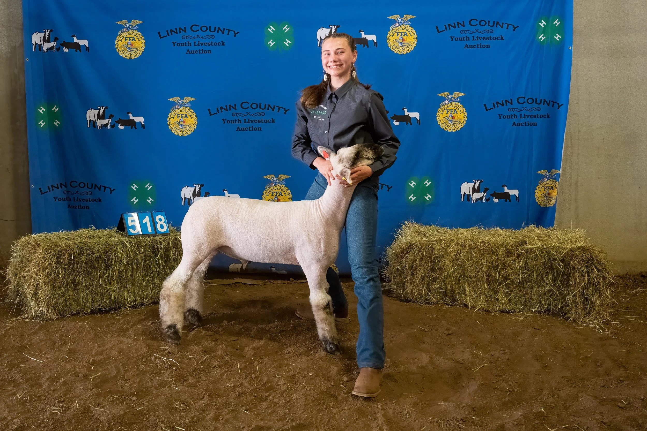 Sheep 518 (0003).jpg