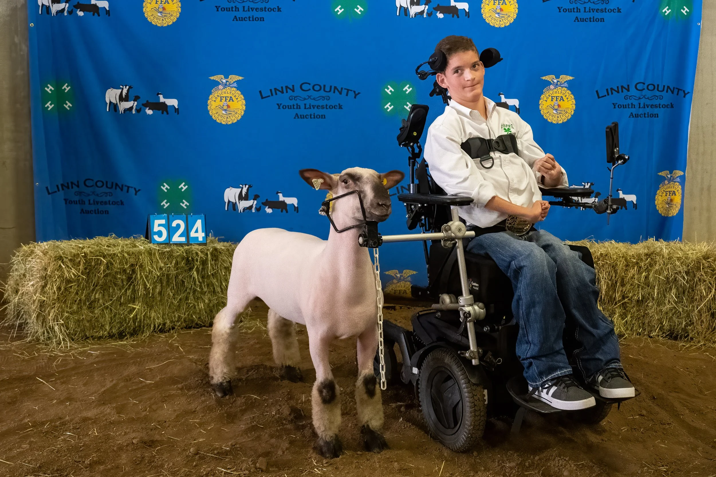 Sheep 524 (0027).jpg