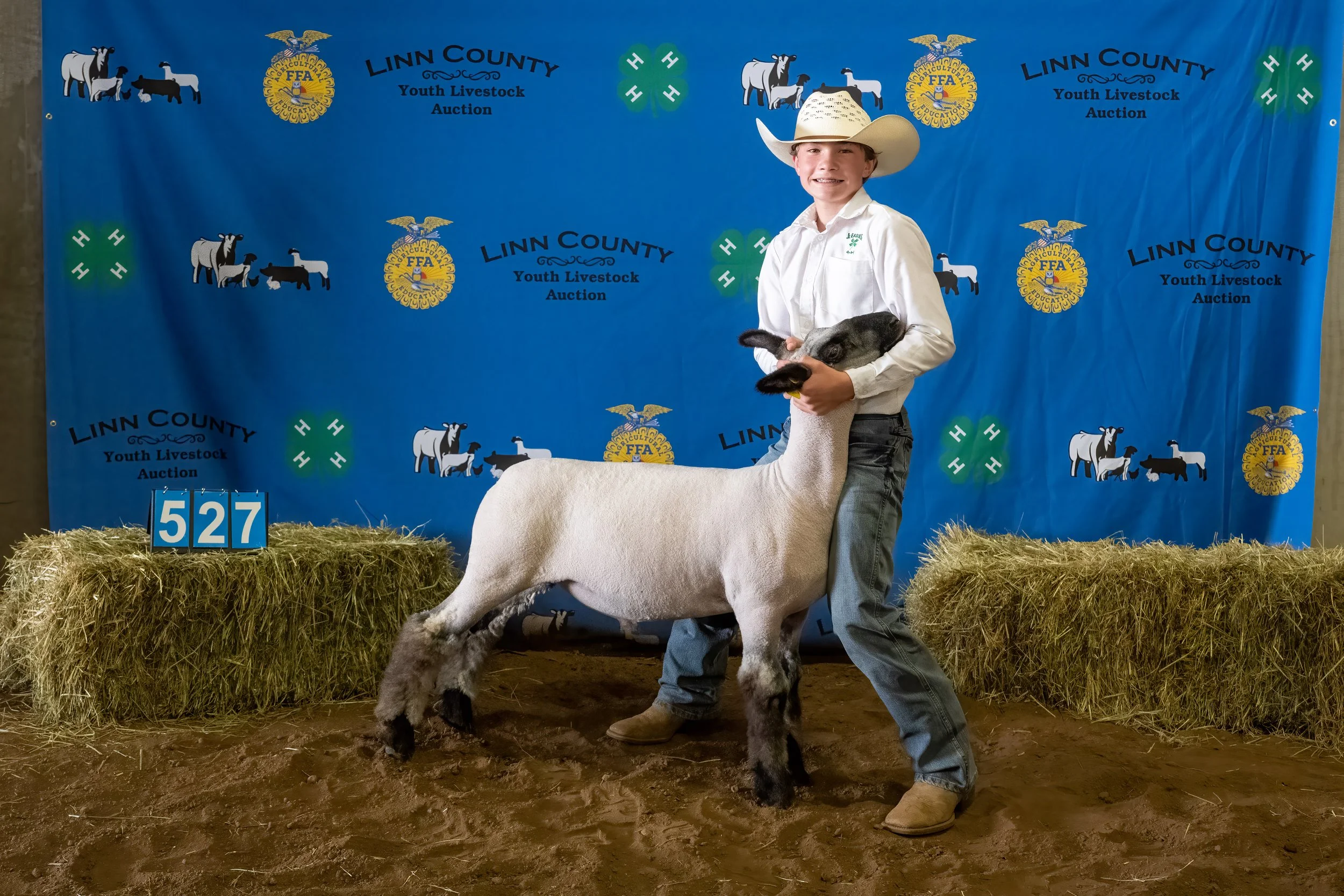 Sheep 527 (0127).jpg