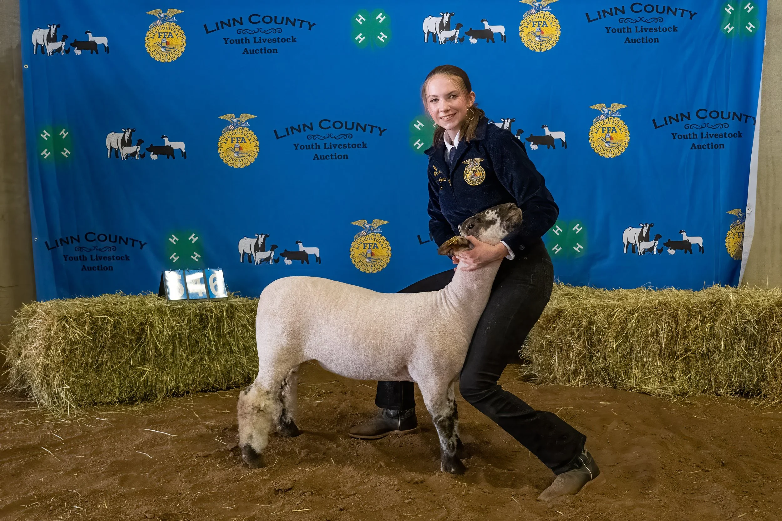 Sheep 546 (0038).jpg