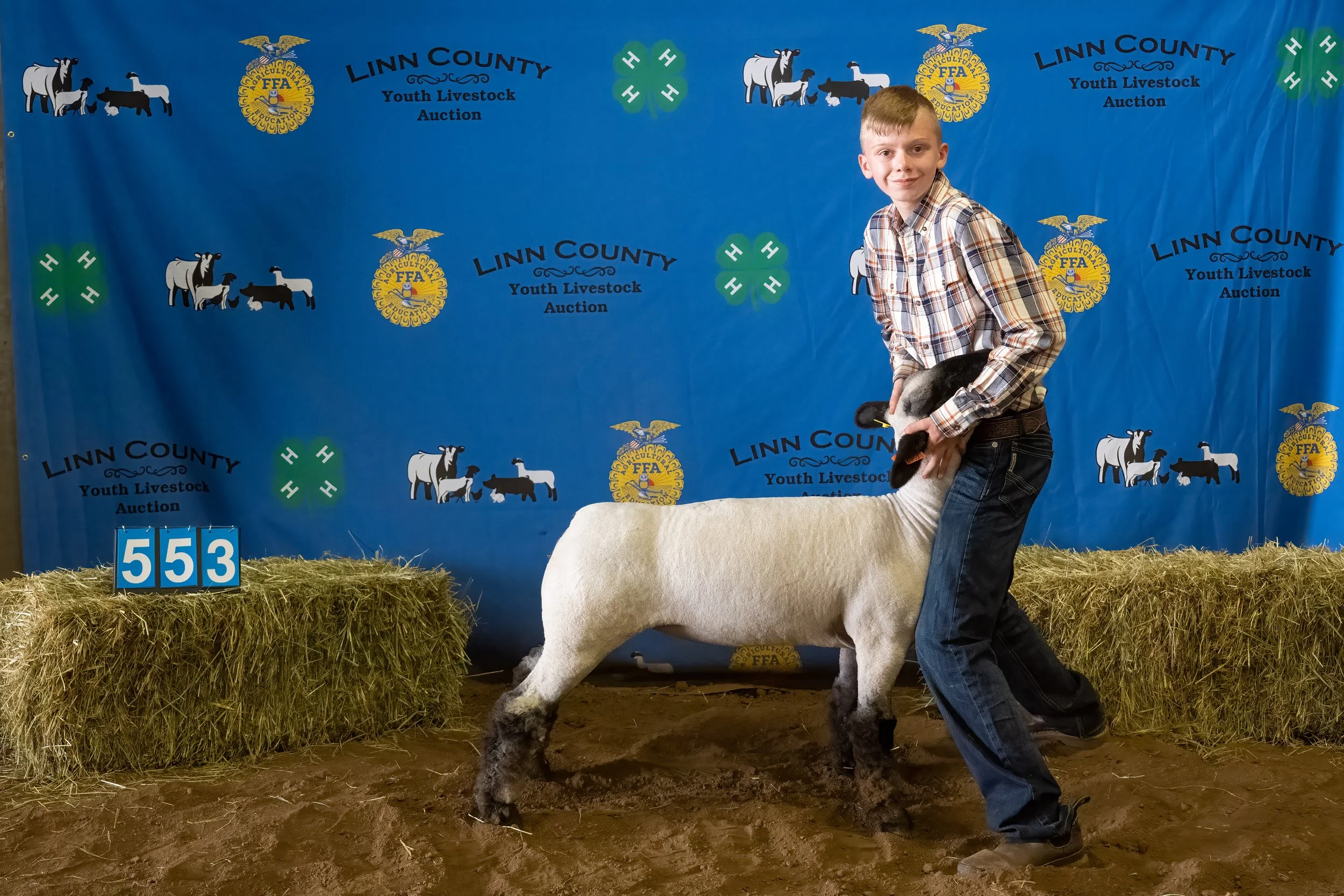 Sheep 553 (0093).jpg