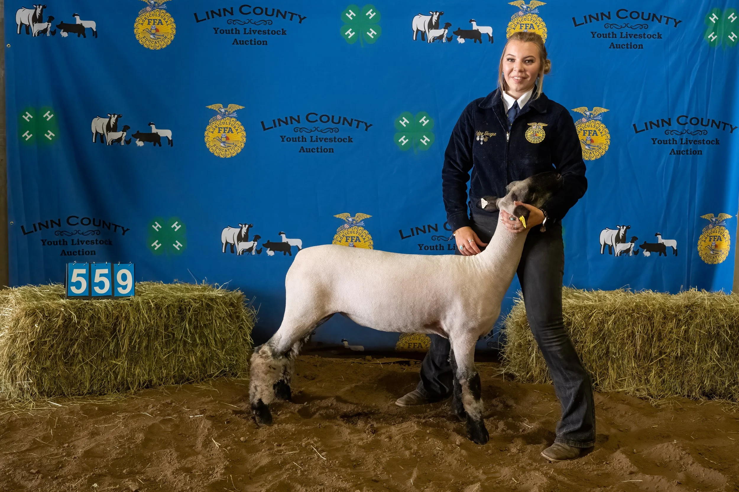 Sheep 559 (0088).jpg