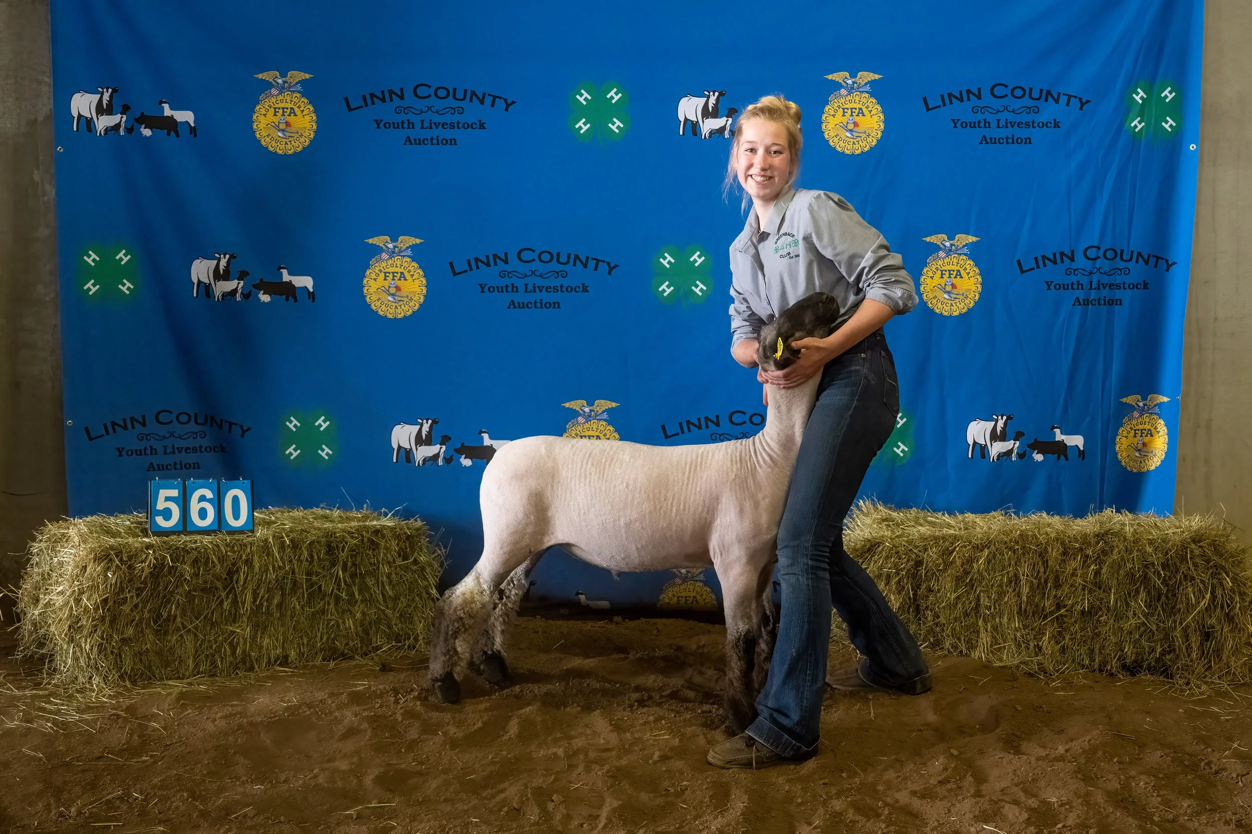 Sheep 560 (0182).jpg