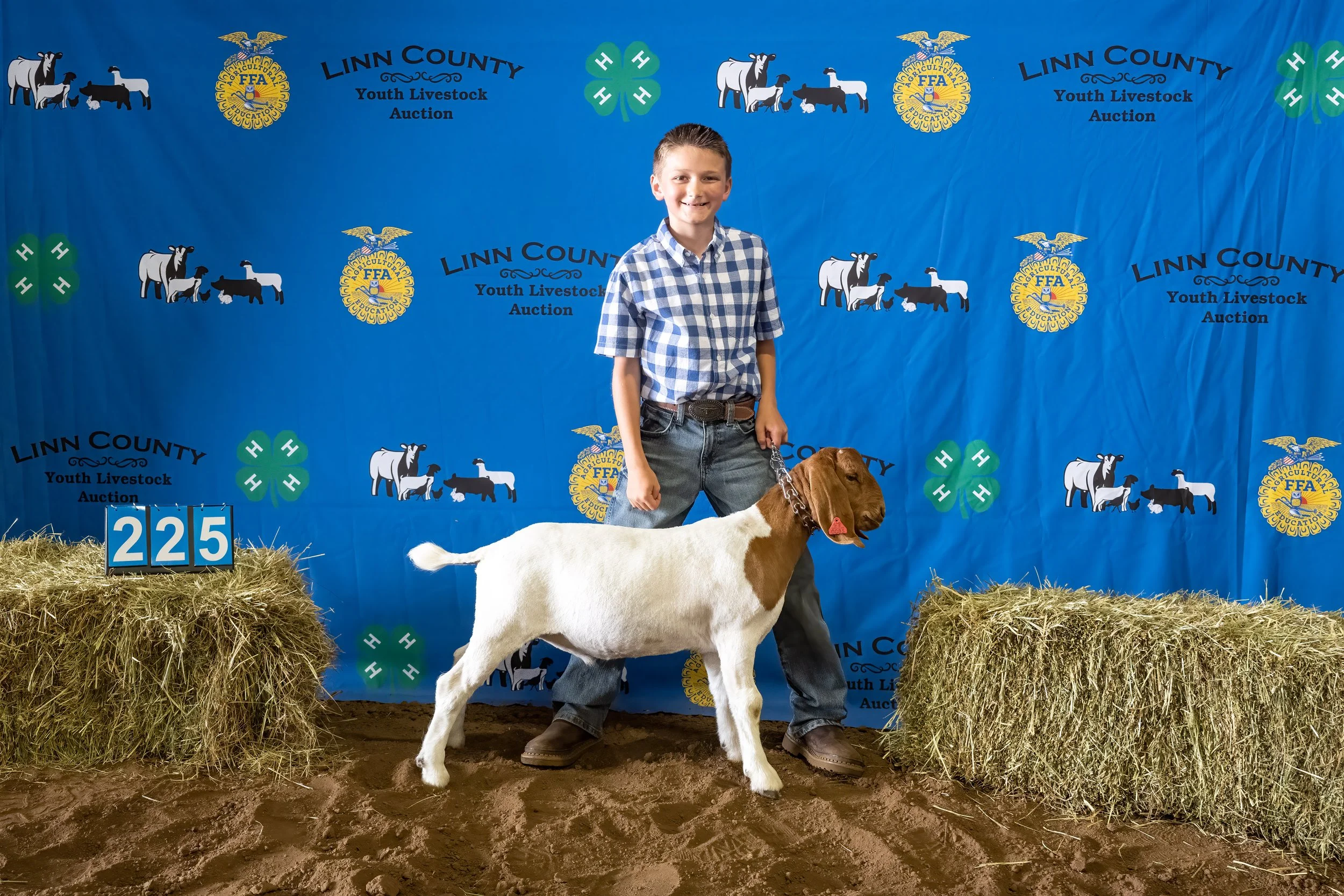 Goat 225 (7077).jpg