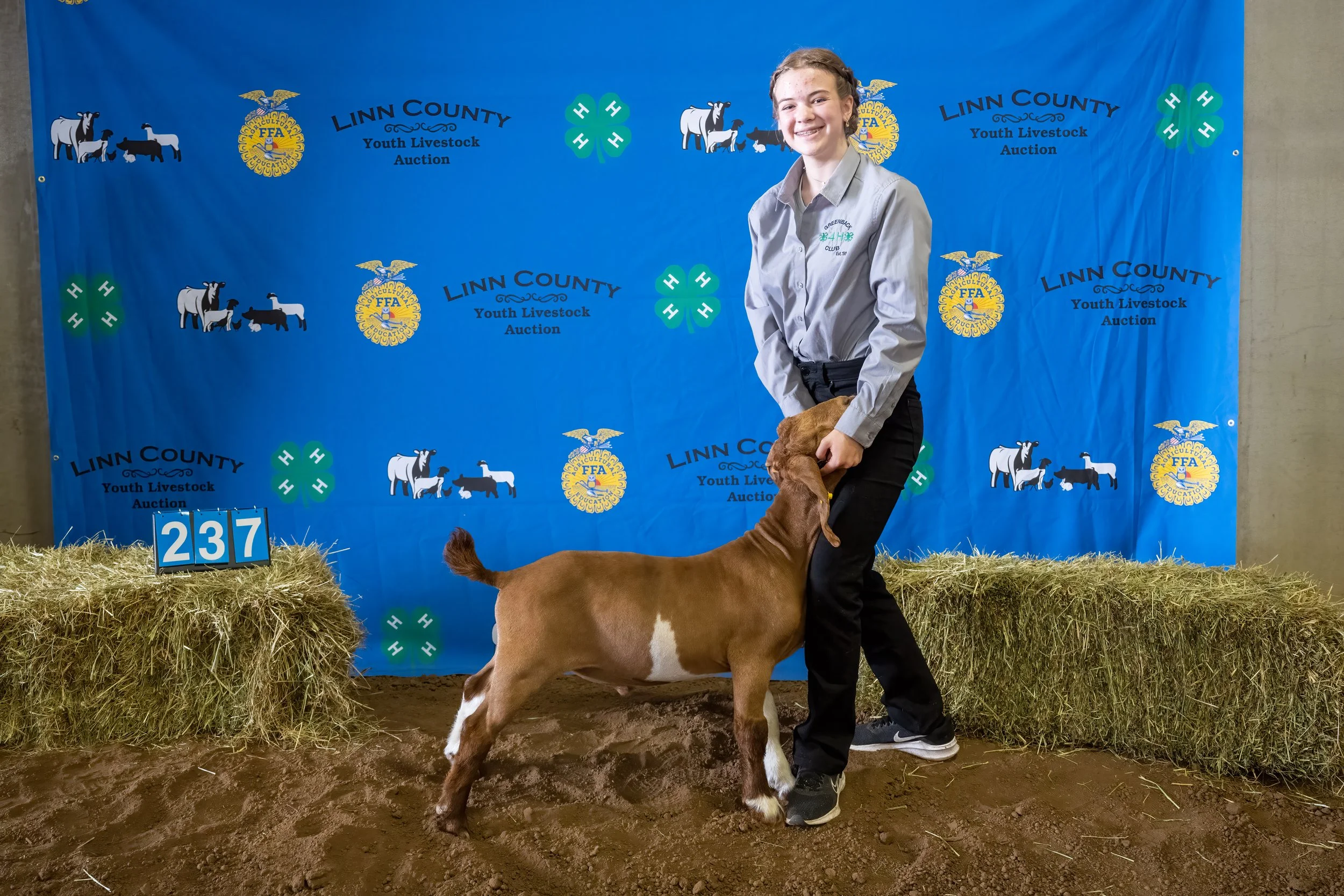 Goat 237 (6979).jpg