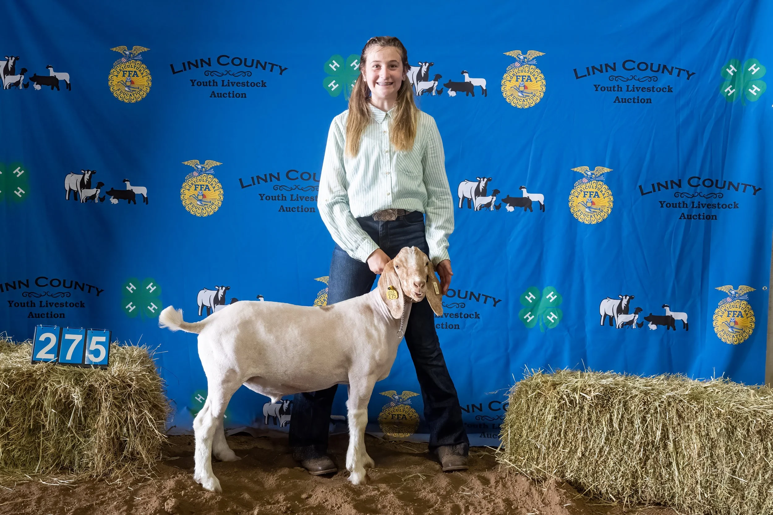 Goat 275 (7711).jpg