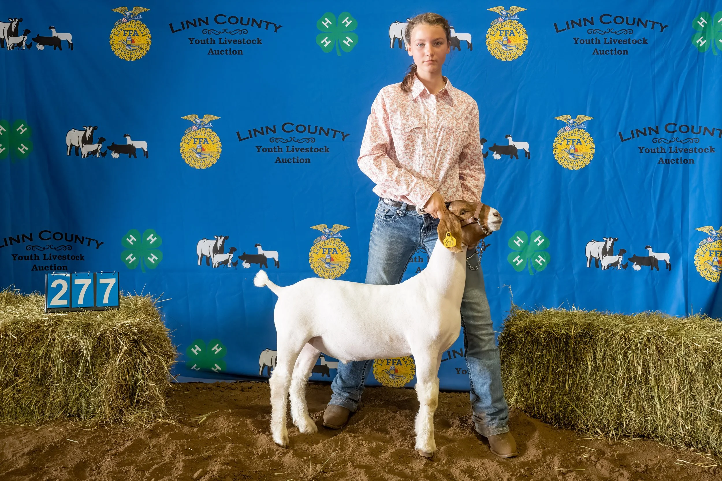 Goat 277 (7140)).jpg