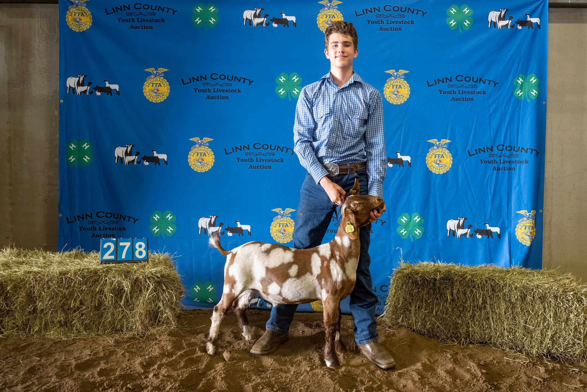 Goat 278 (7269).jpg