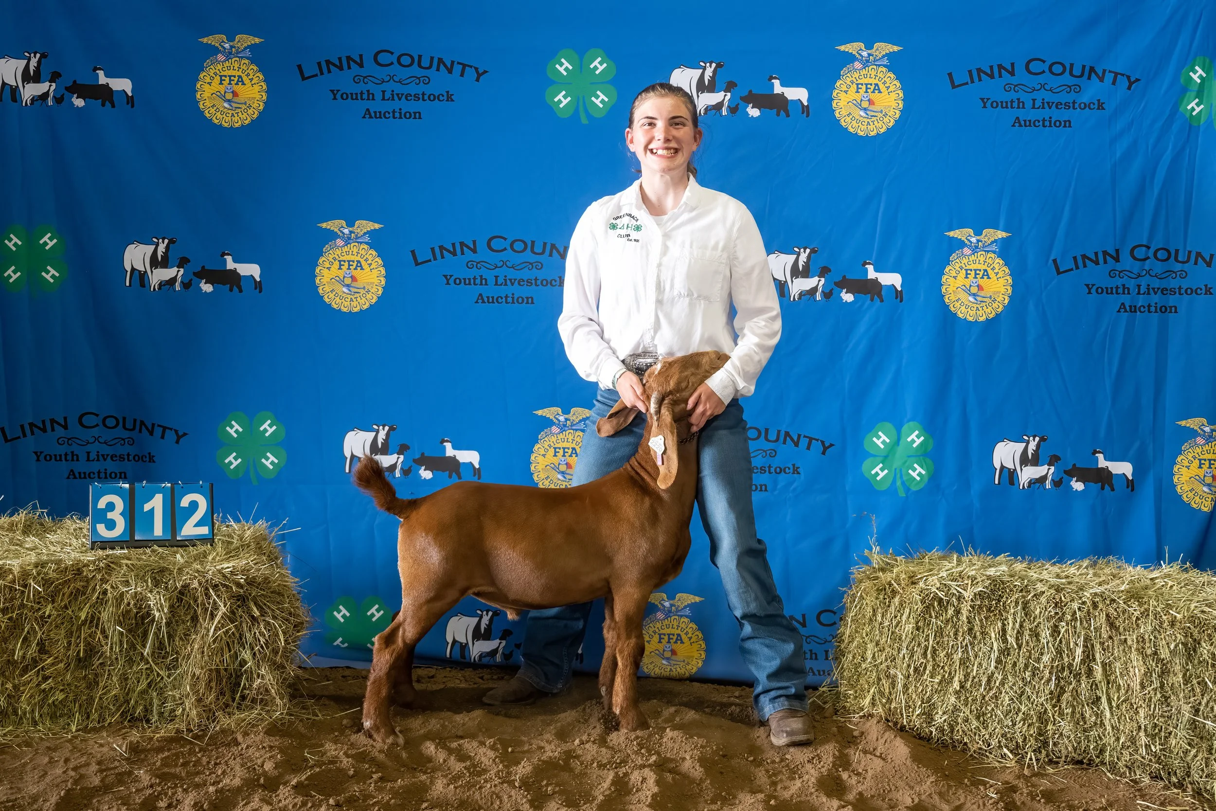 Goat 312 (7244).jpg