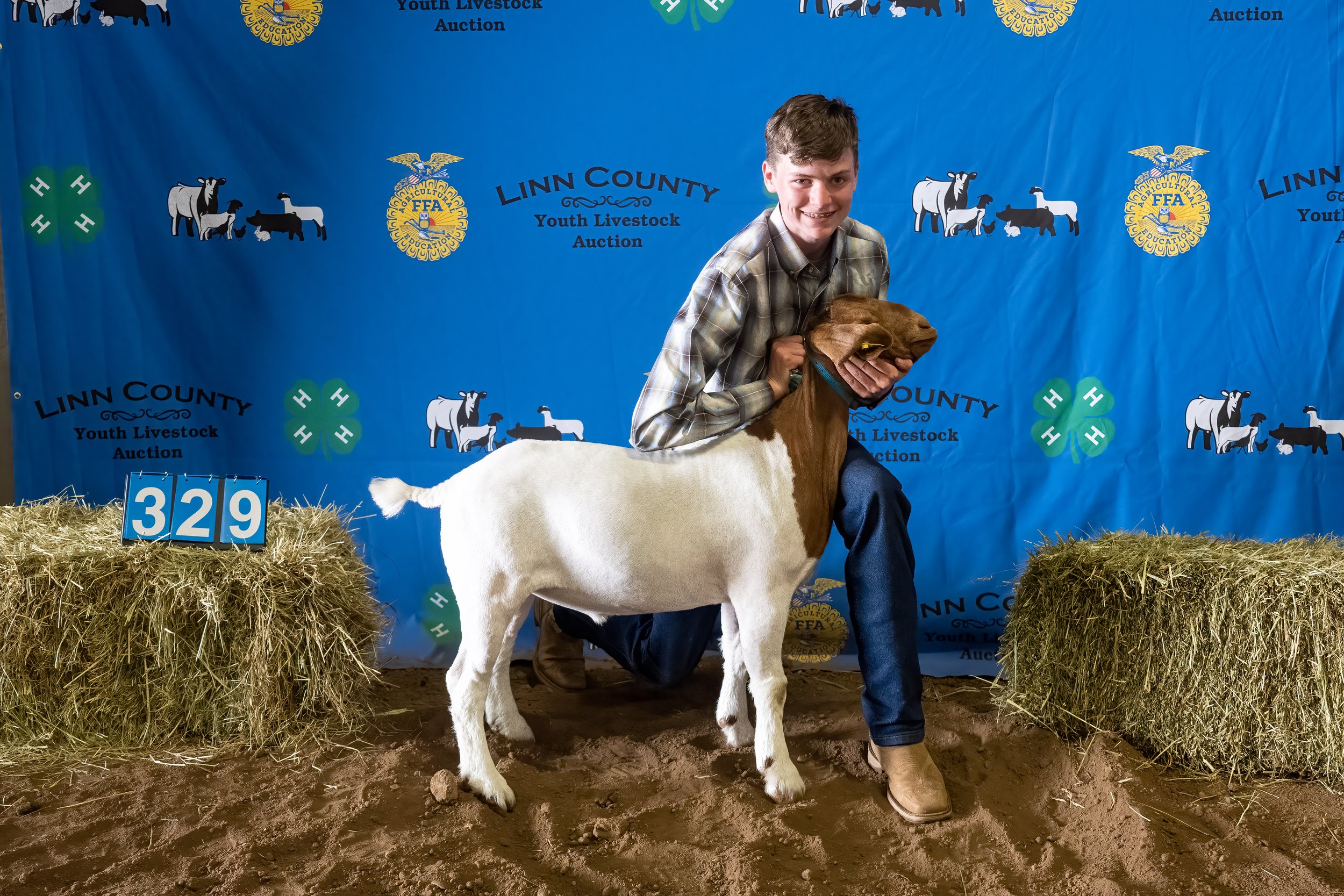 Goat 329 (7678).jpg