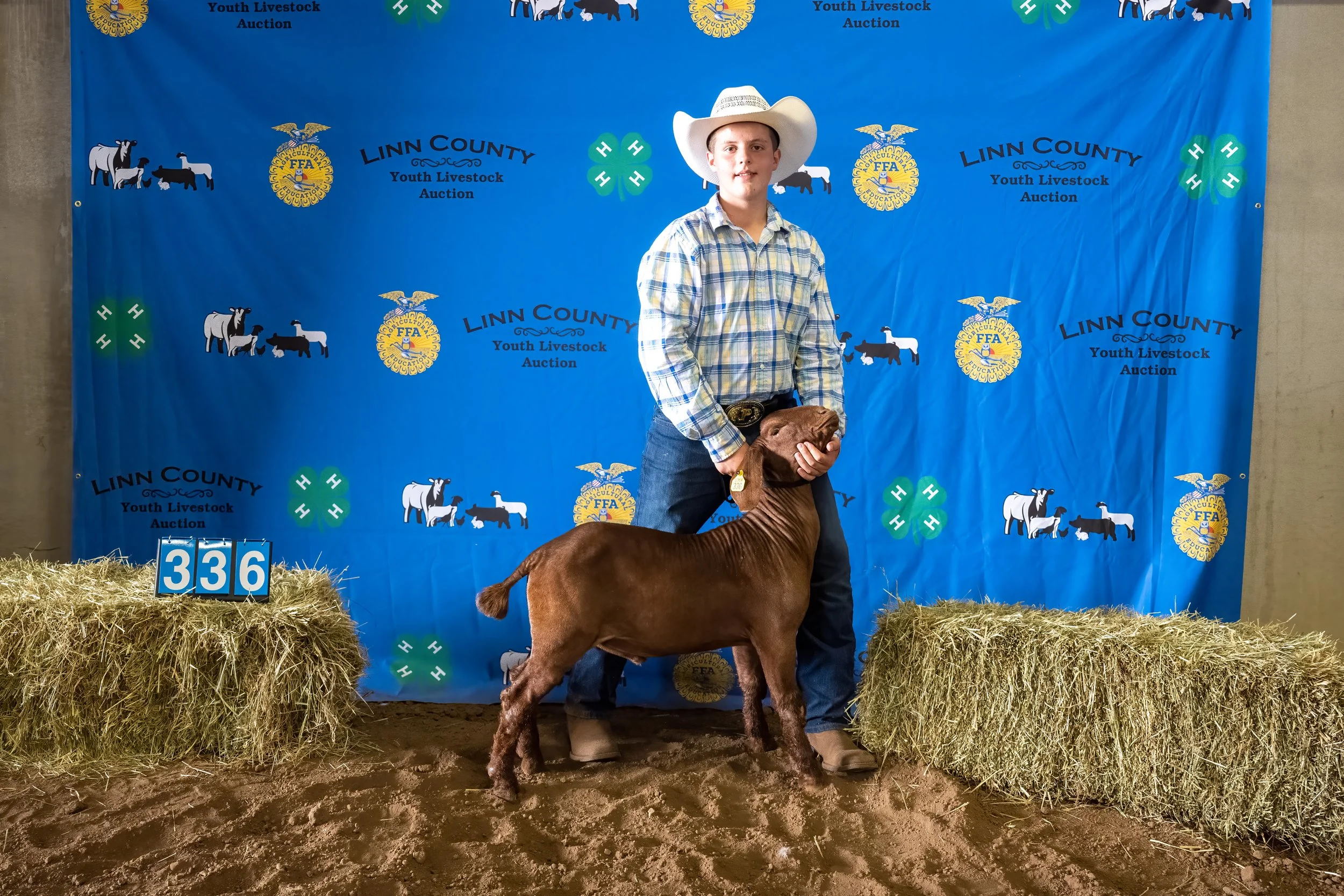 Goat 336 (7527).jpg
