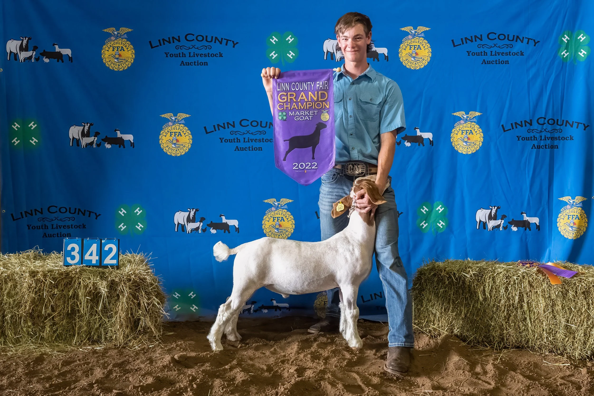 Goat 342 (7743).jpg