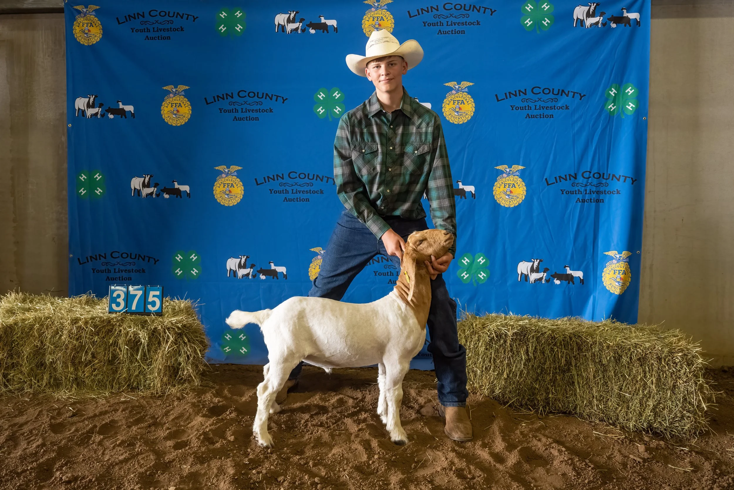 Goat 375 (7485).jpg