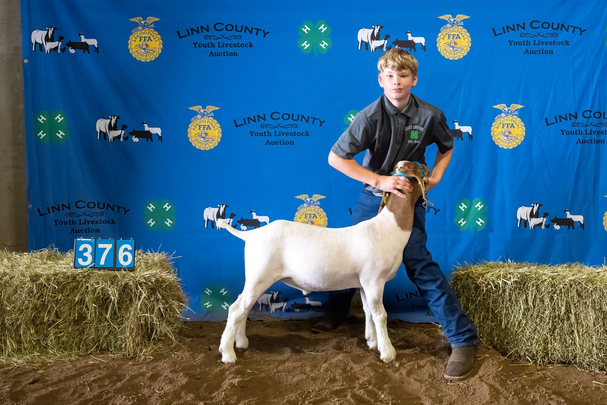 Goat 376 (7611).jpg