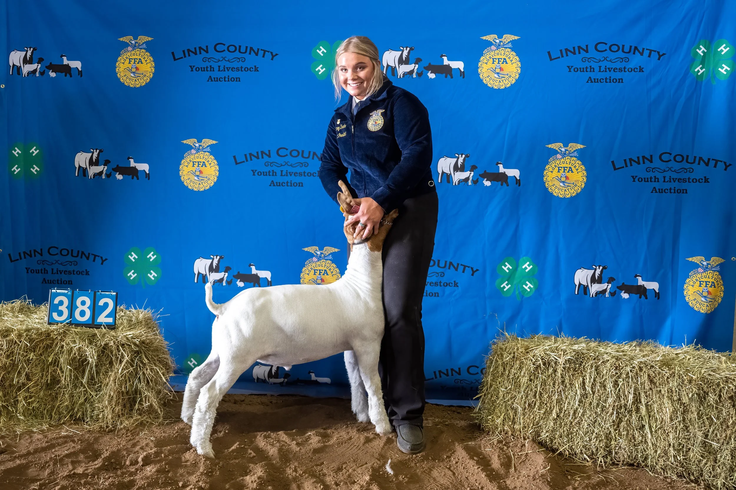 Goat 382 (7537).jpg