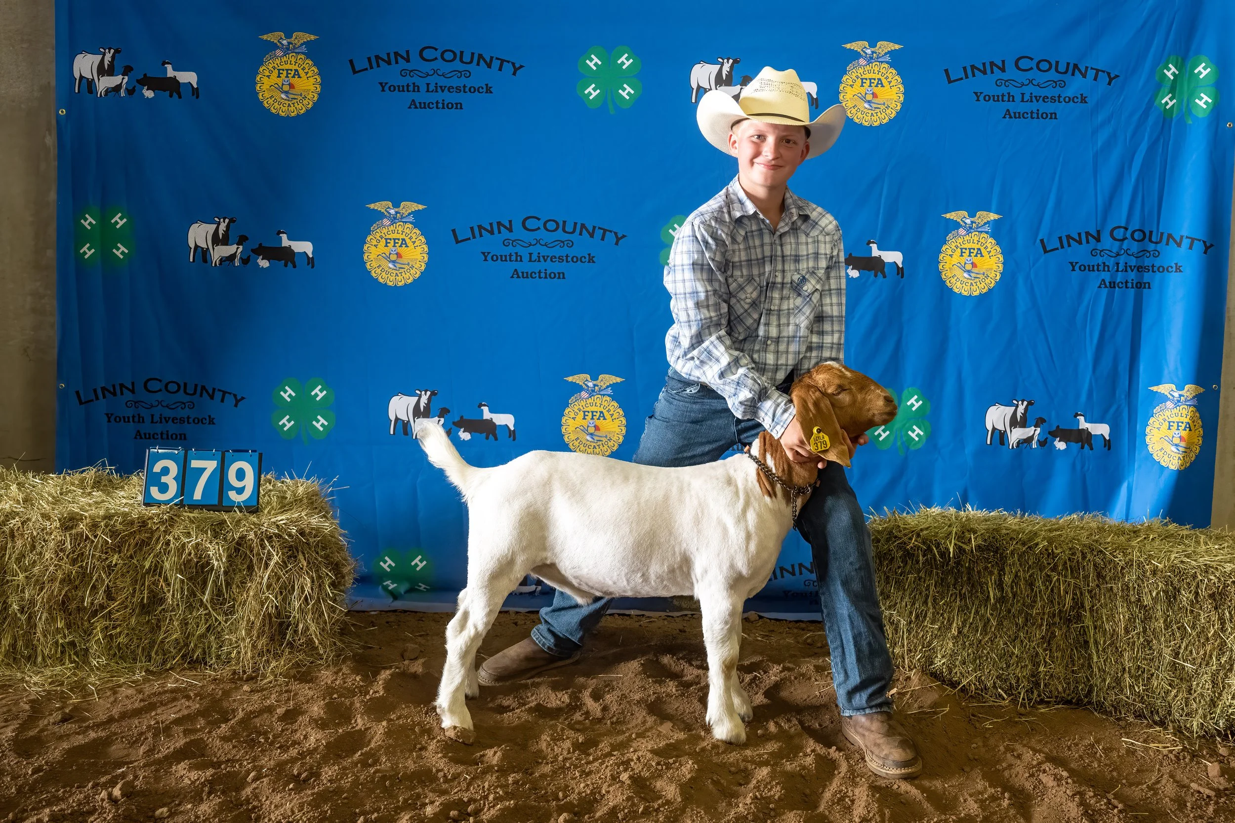 Goat 379 (7576).jpg