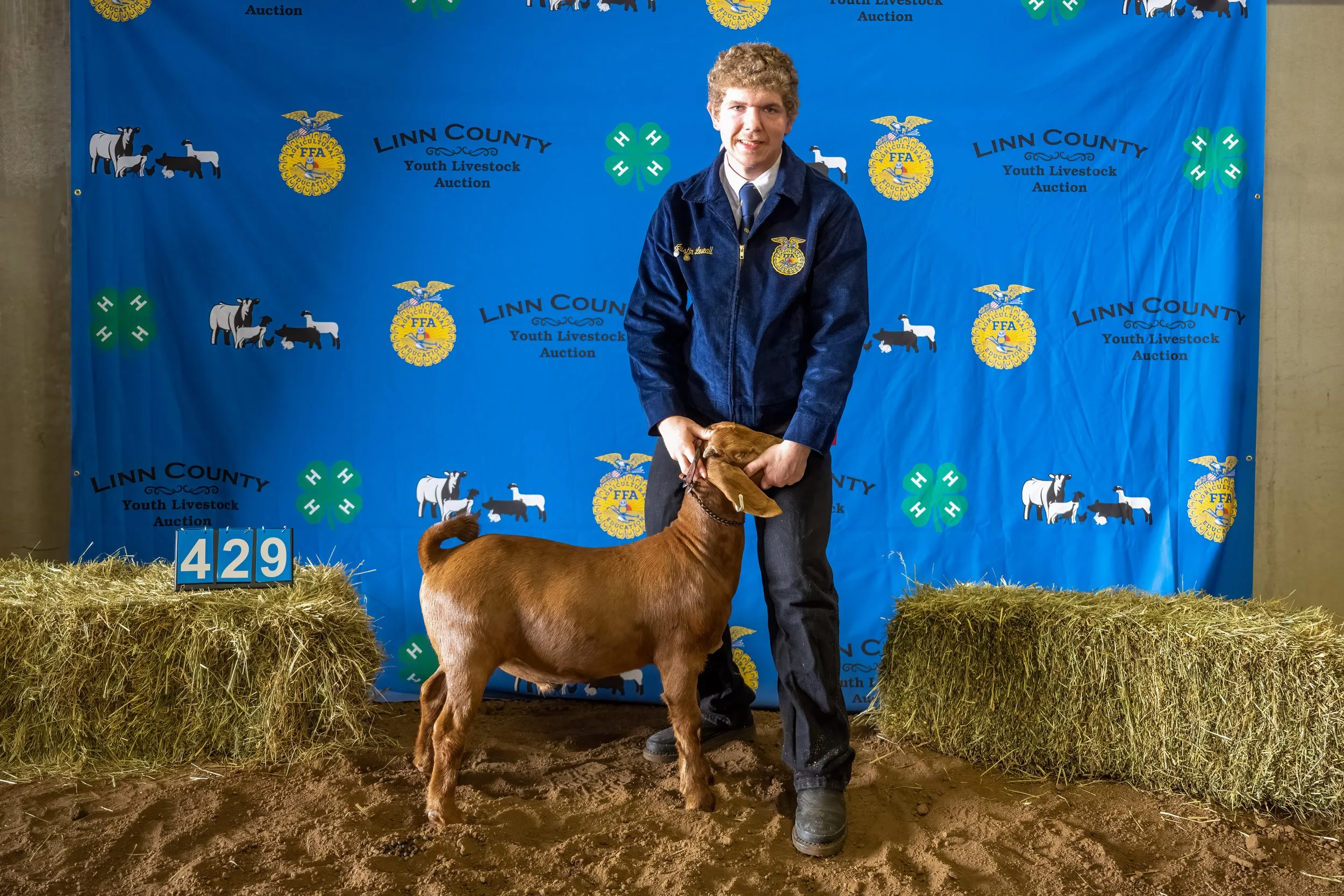 Goat 429 (7403).jpg