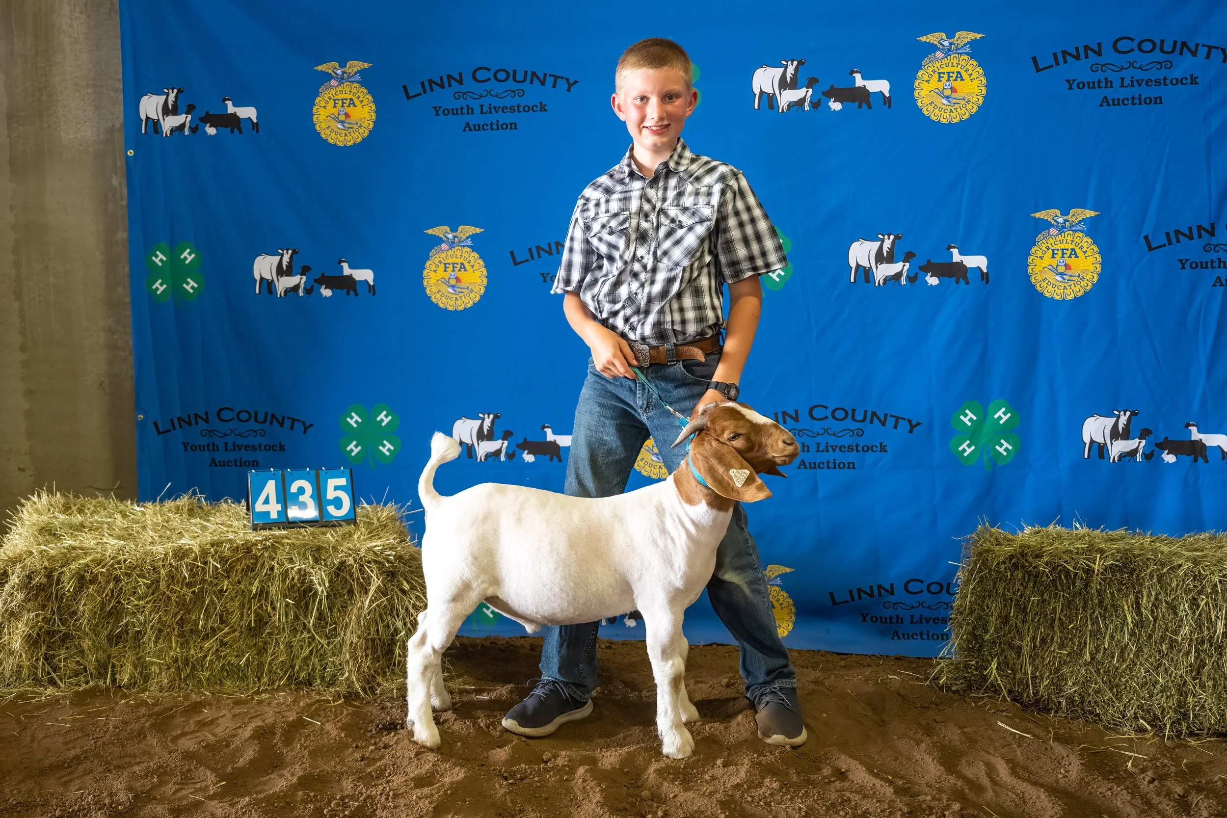 Goat 435 (7055).jpg