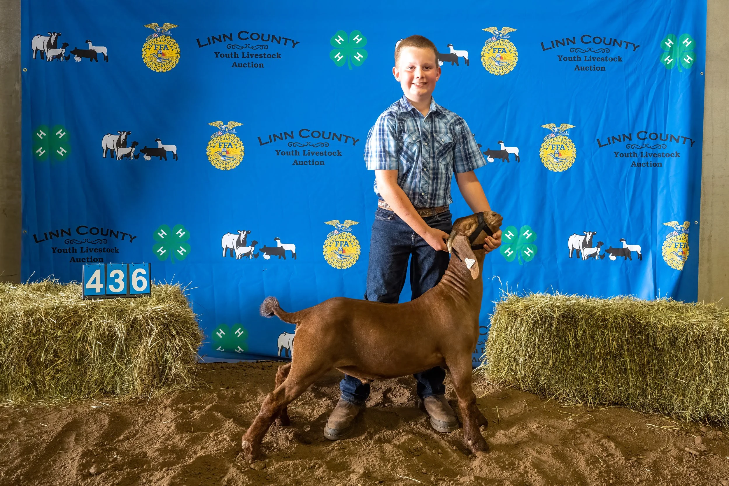 Goat 436 (7341).jpg