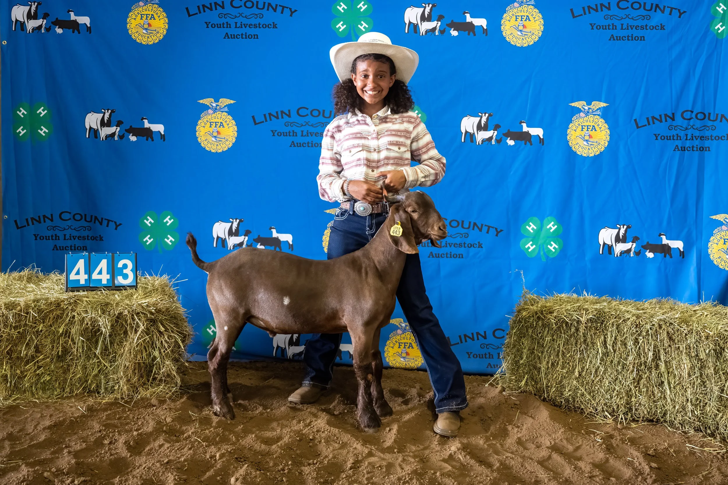 Goat 443 (7218).jpg