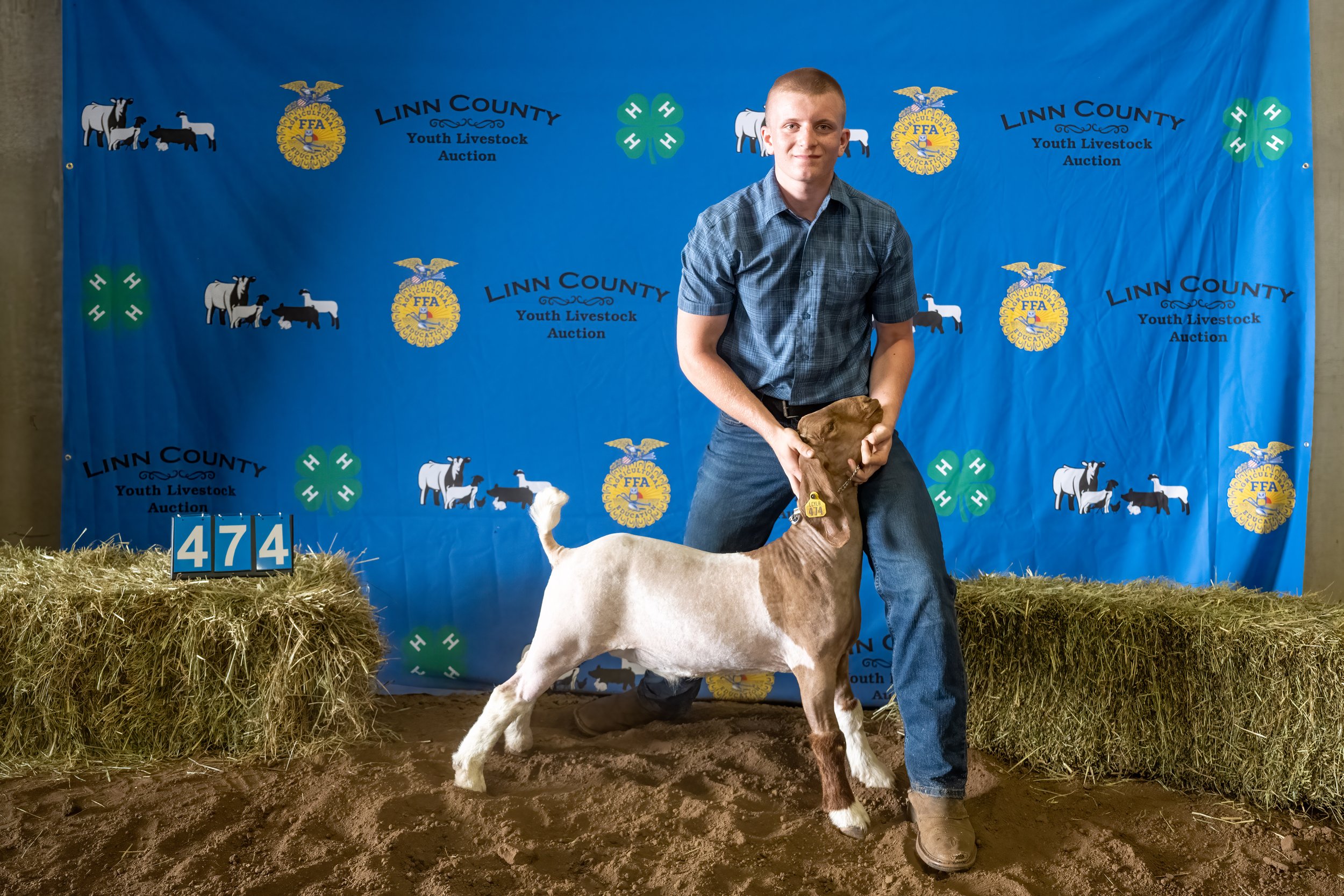 Goat 474 (7520).jpg