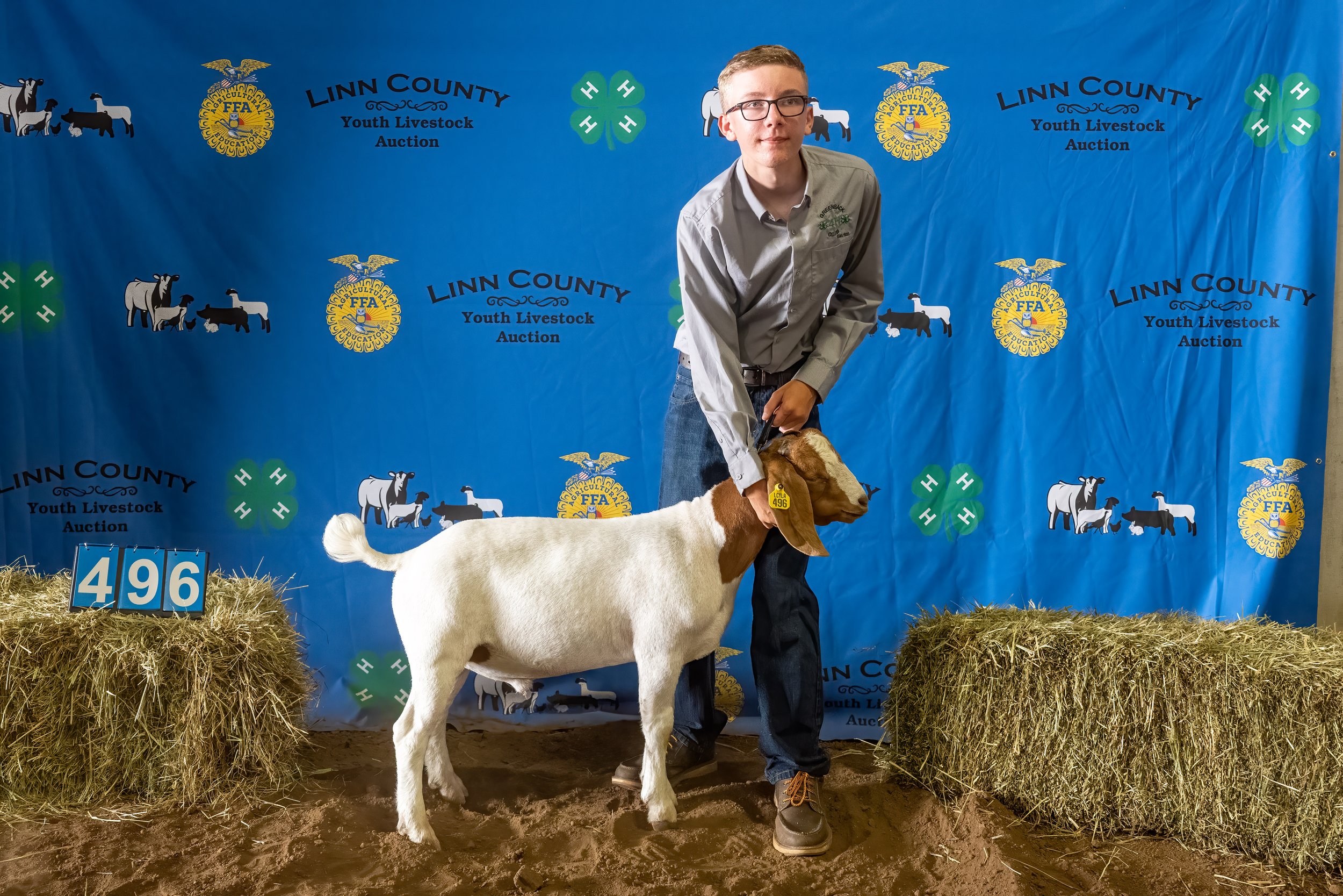 Goat 496 (7668).jpg