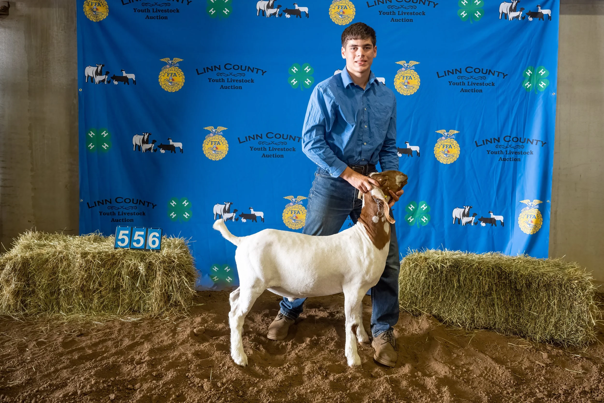 Goat 556 (7721).jpg