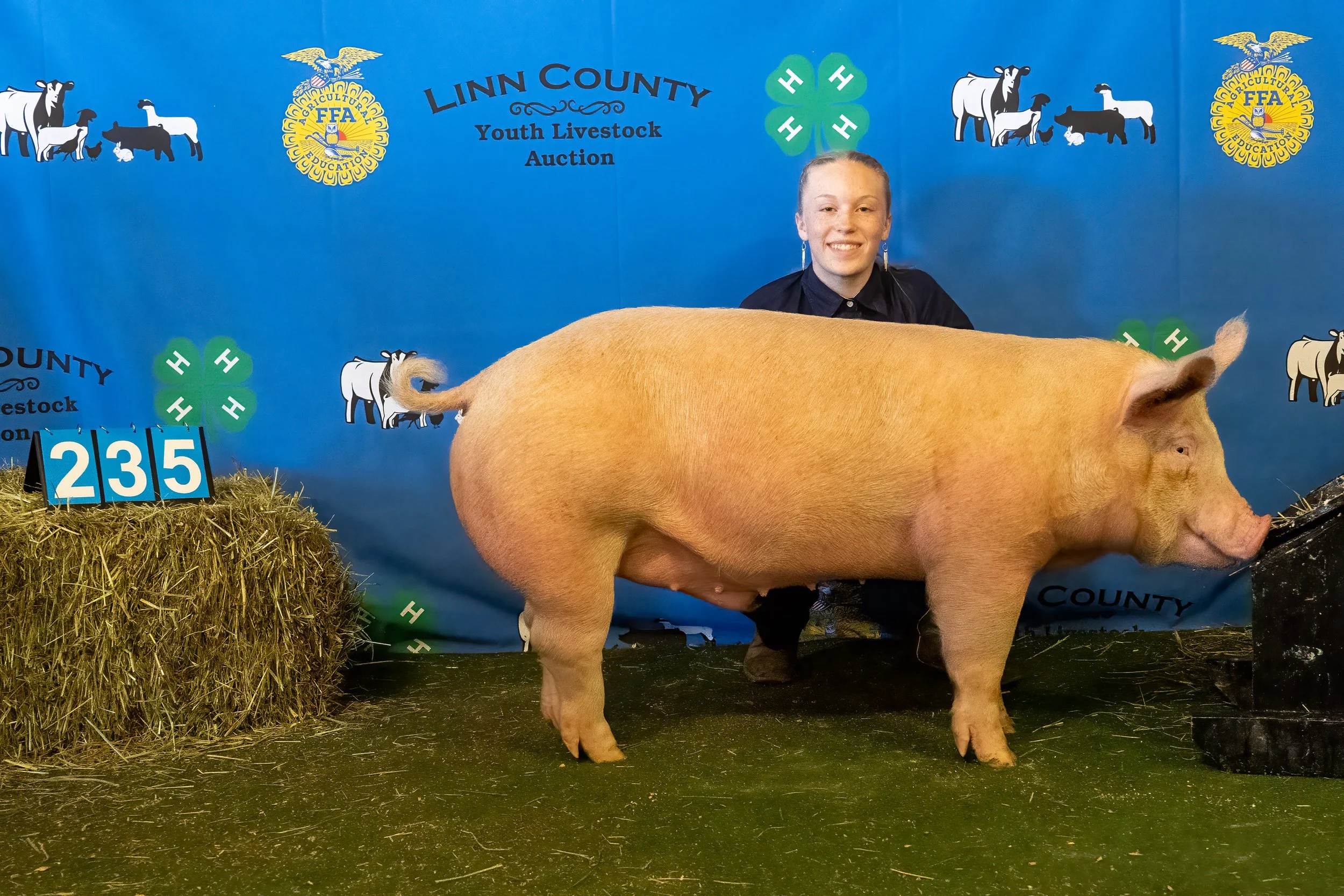 Swine 235 (9656).jpg