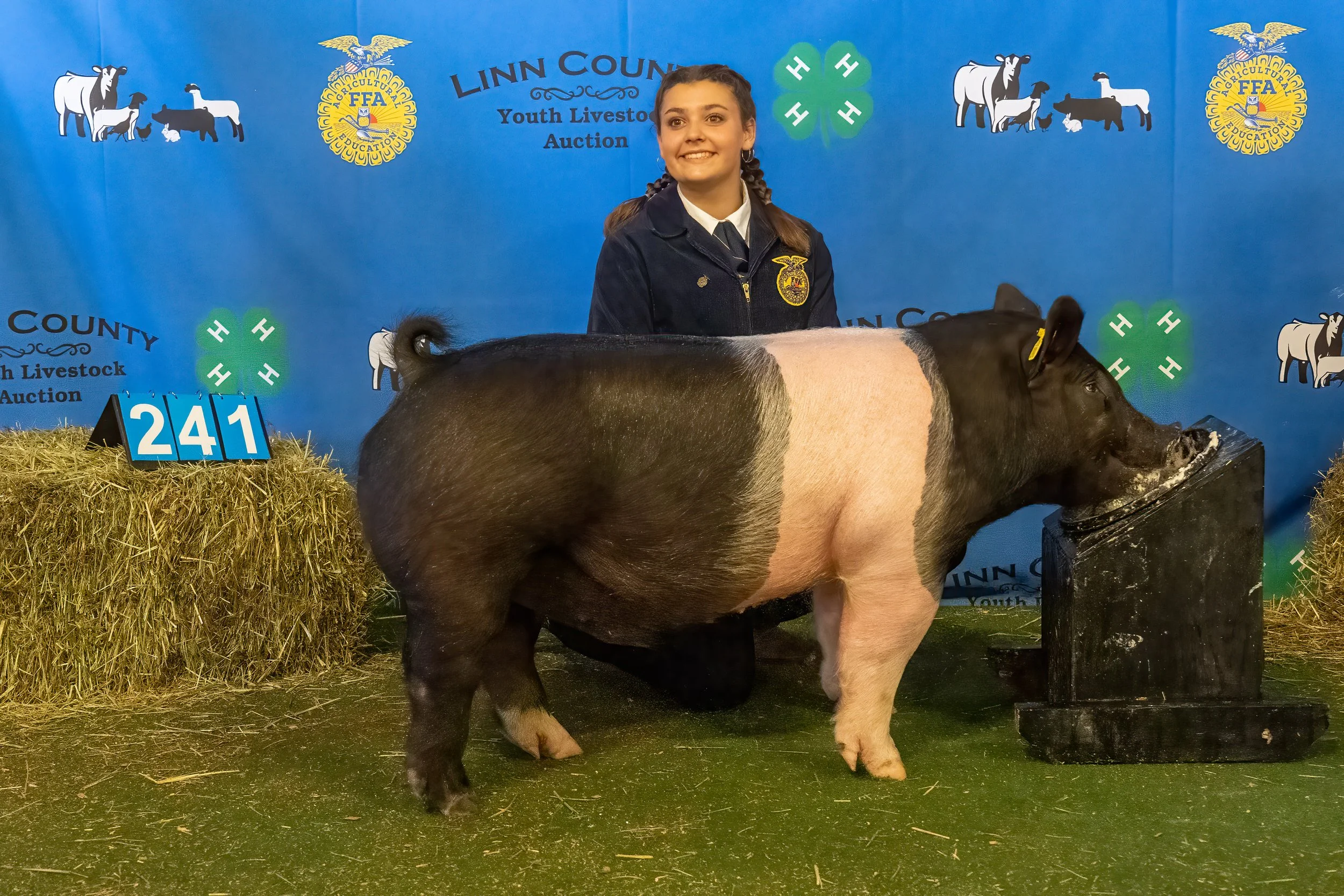 Swine 241 (9716).jpg