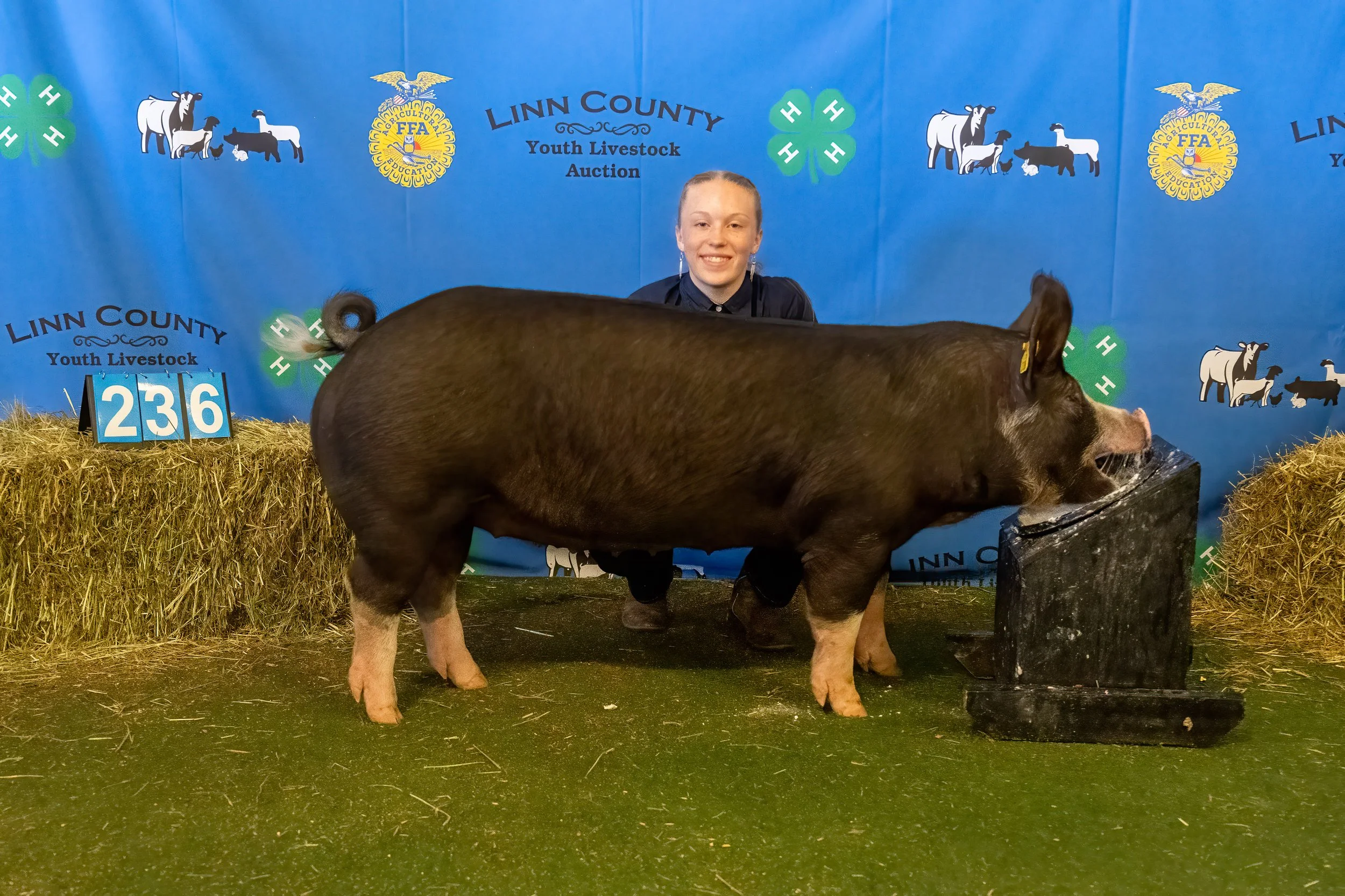 Swine 236 (9921).jpg