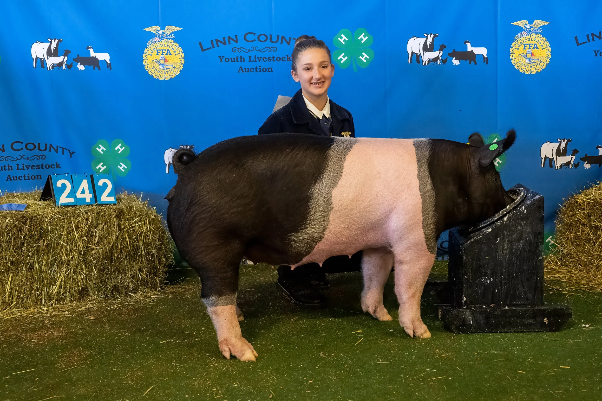 Swine 242 (9818).jpg
