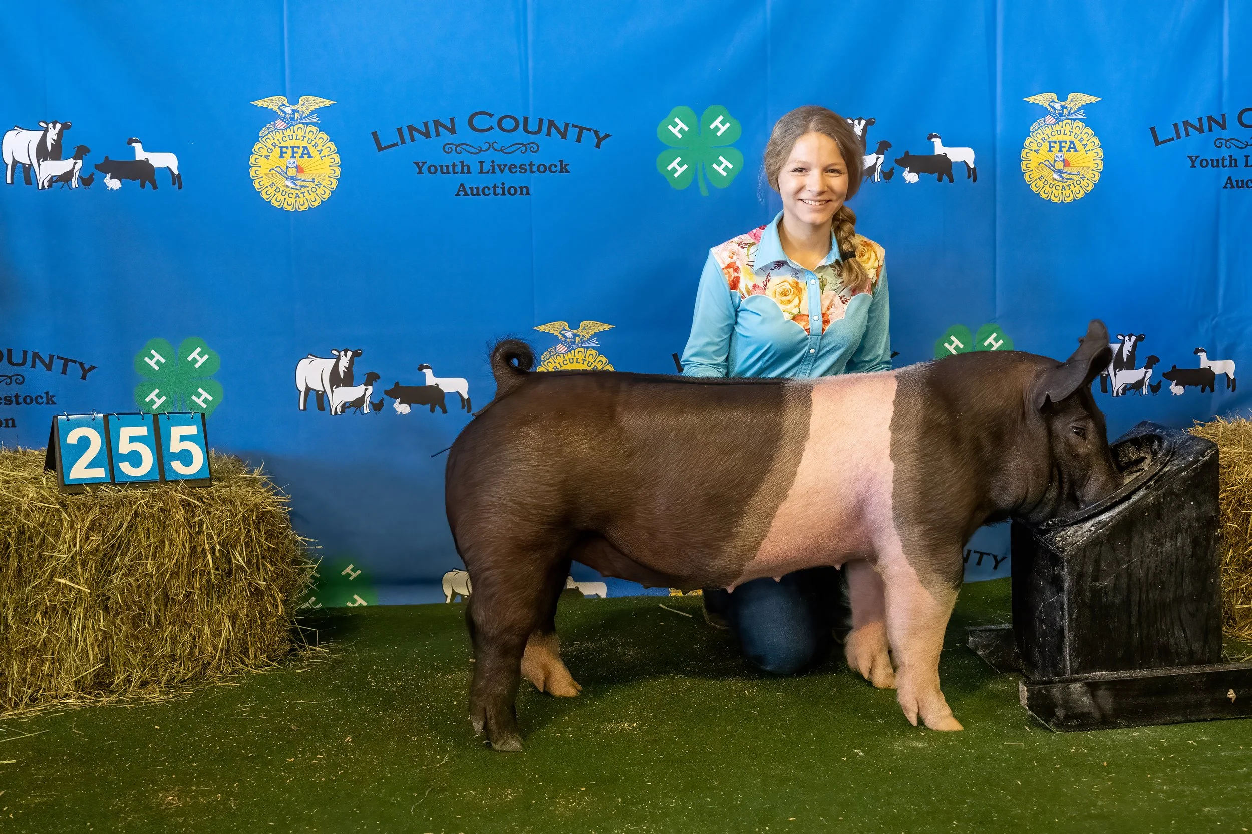Swine 255 (9073).jpg