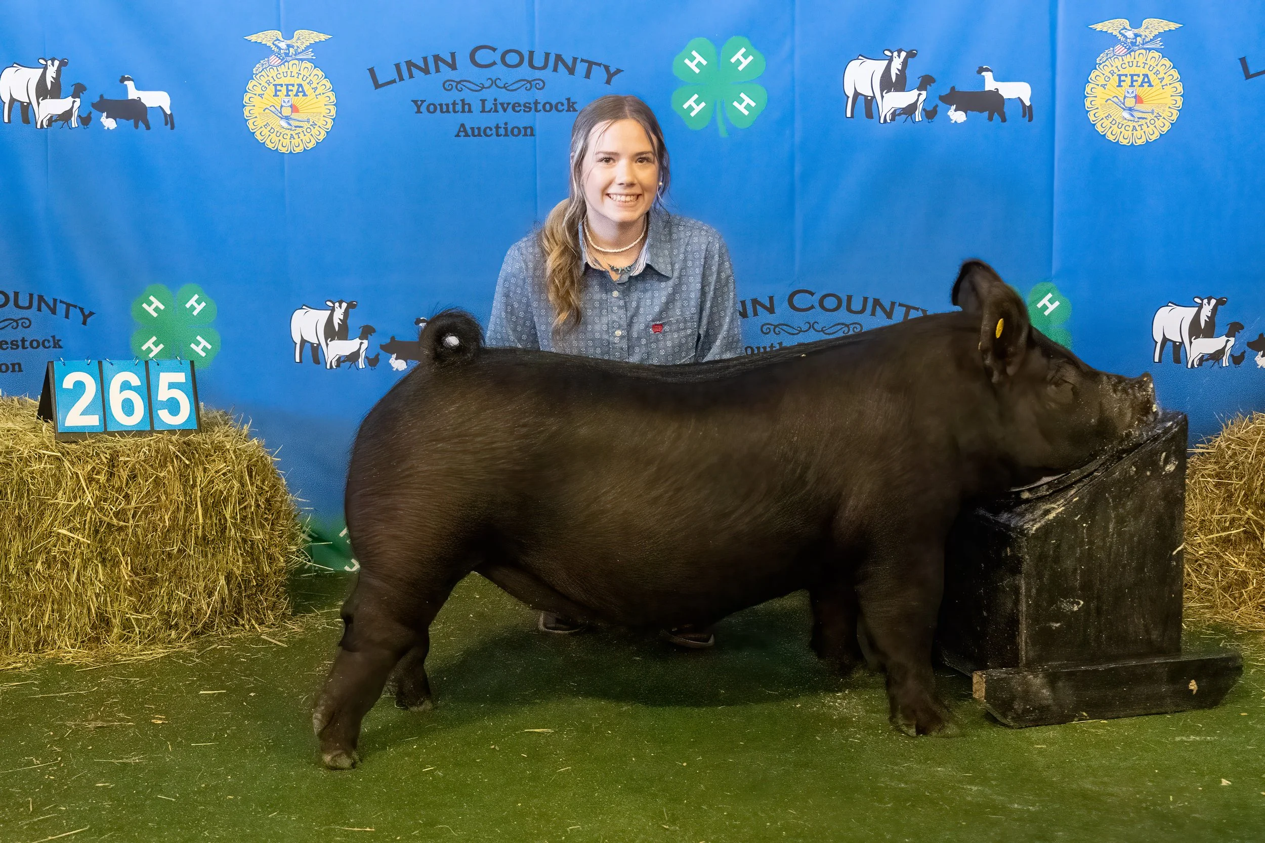 Swine 265 (9403).jpg