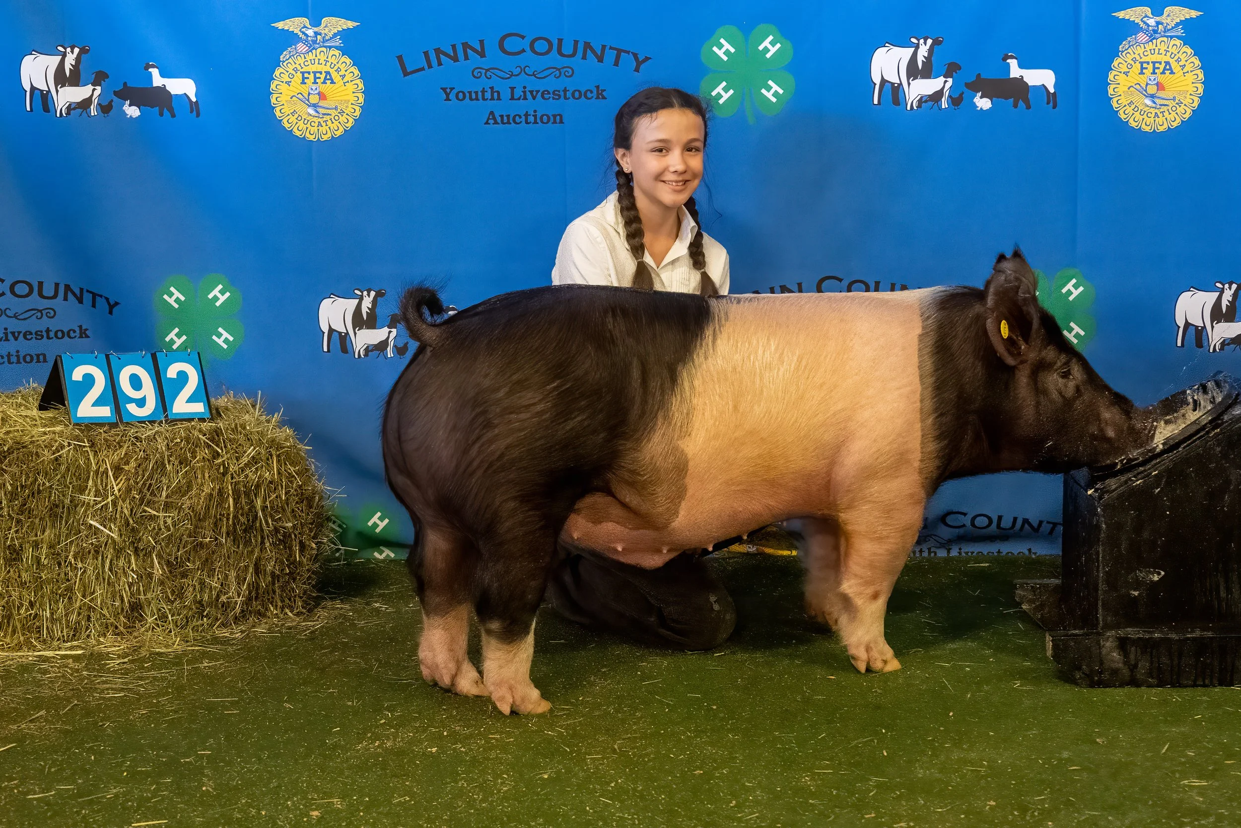 Swine 292 (9565).jpg