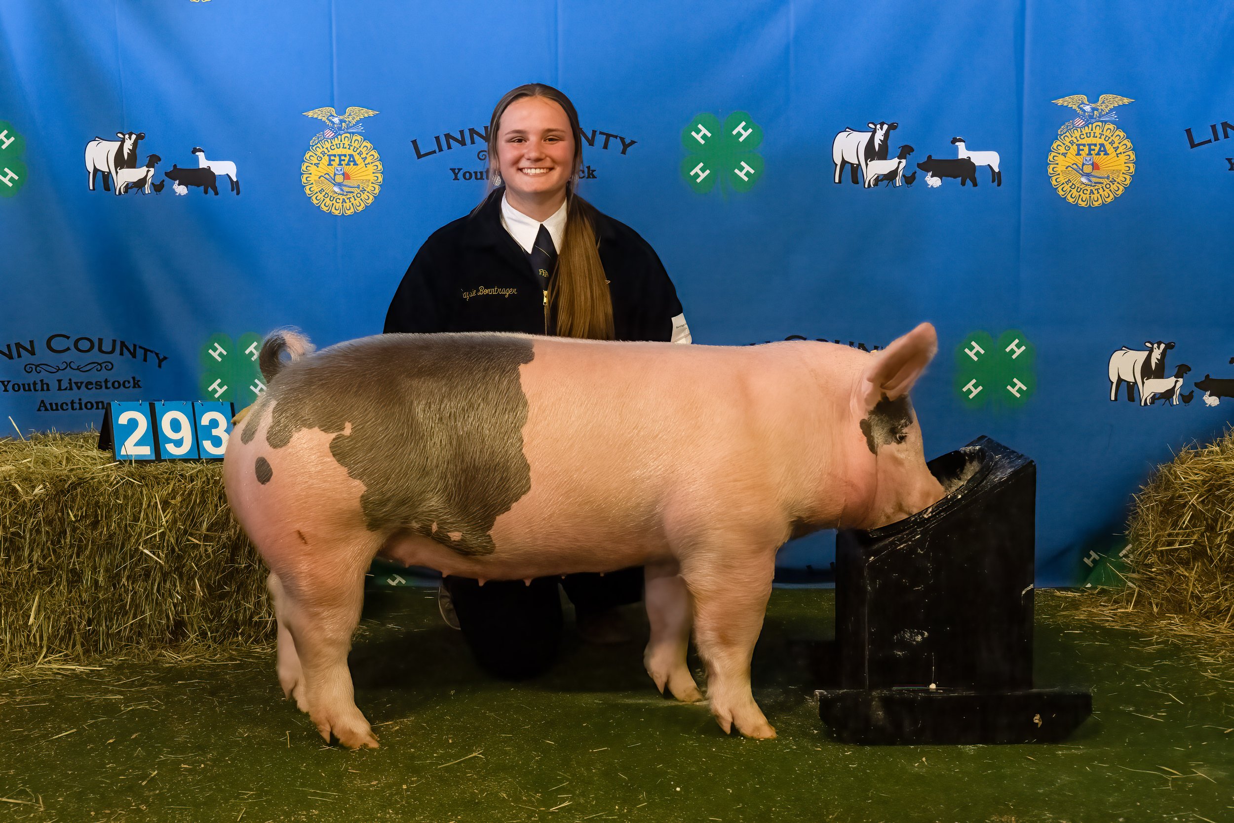 Swine 293 (9632).jpg