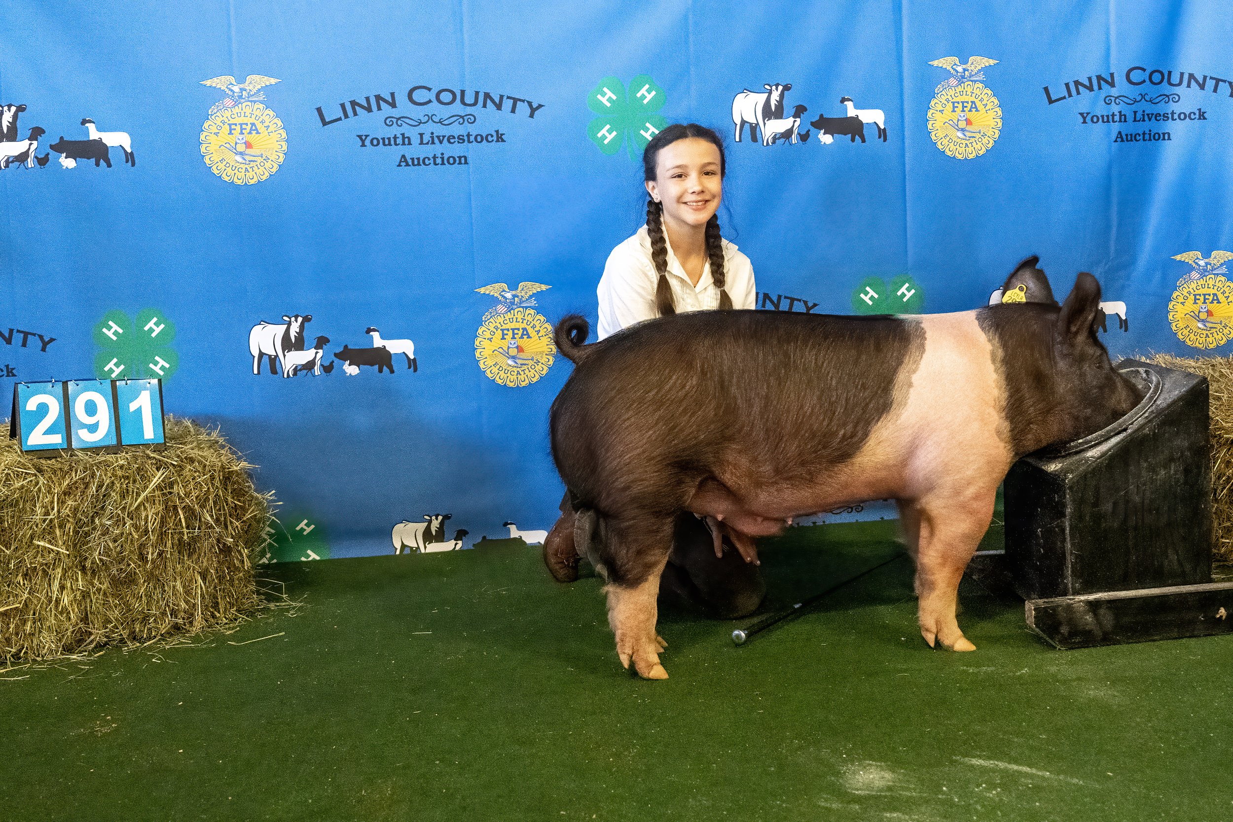 Swine 291 (8975).jpg