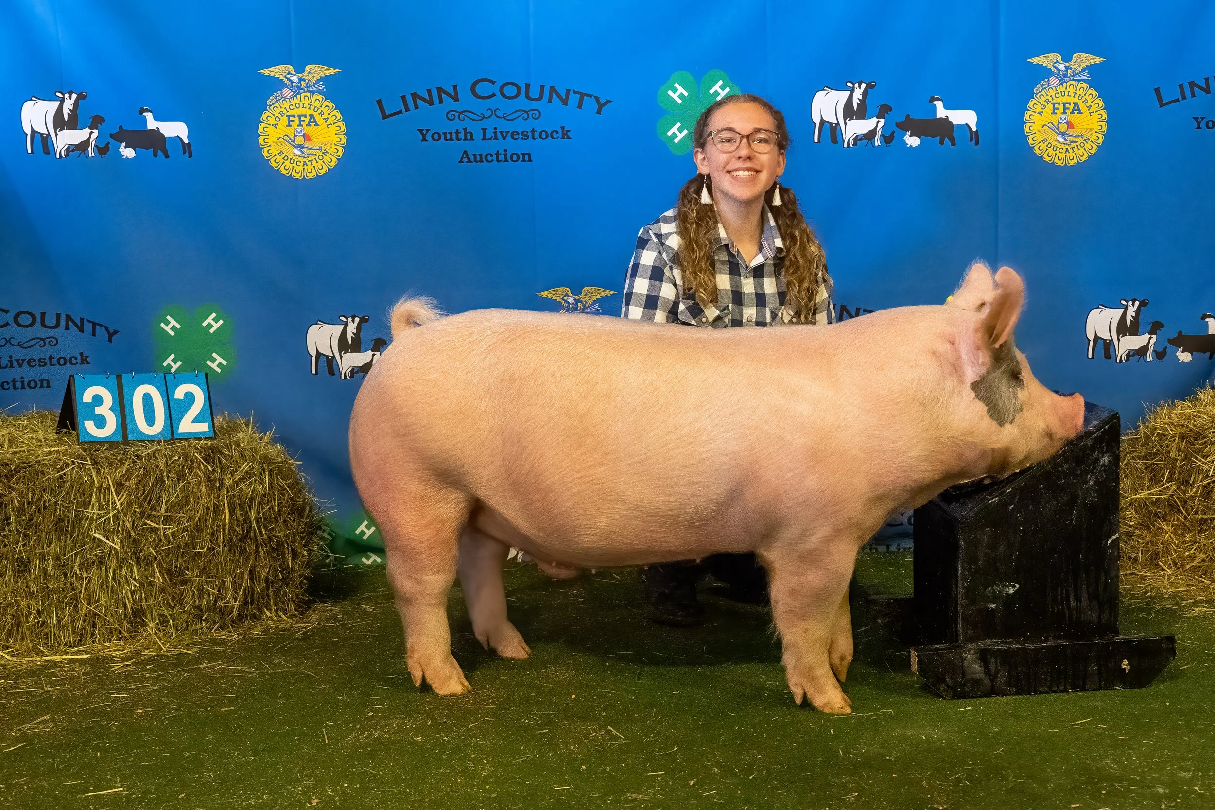 Swine 302 (9548).jpg