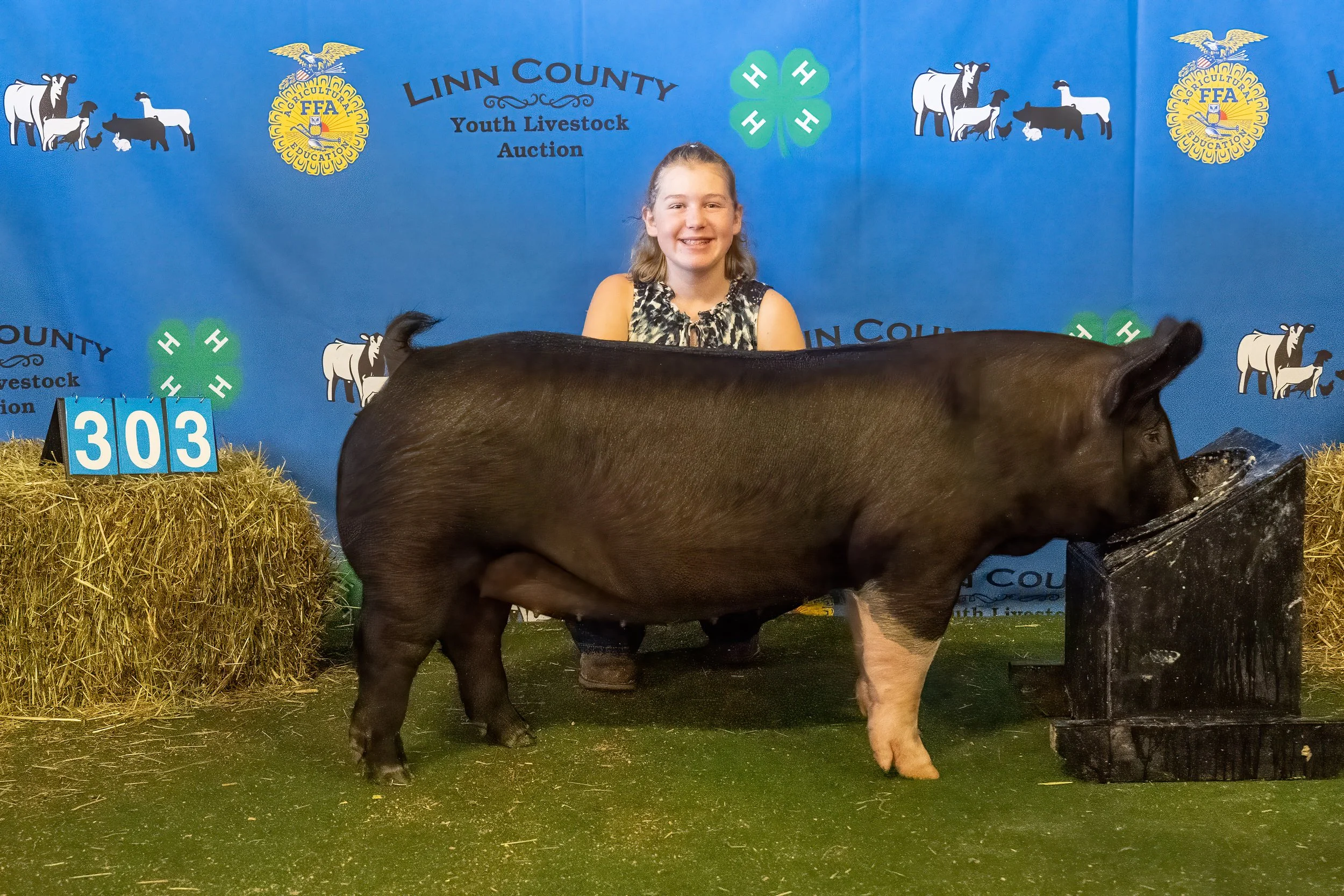 Swine 303 (9529).jpg