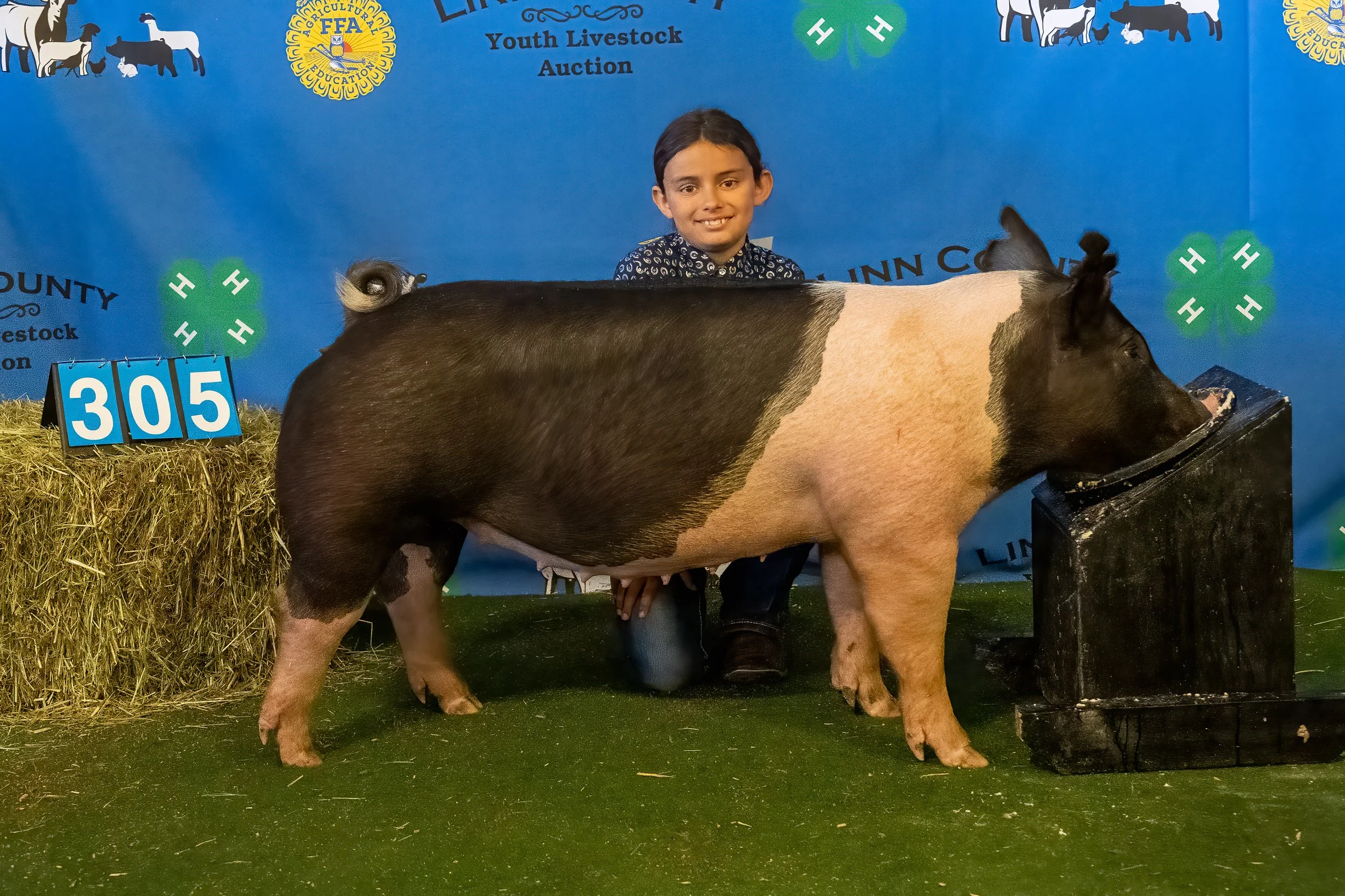Swine 305 (9185).jpg